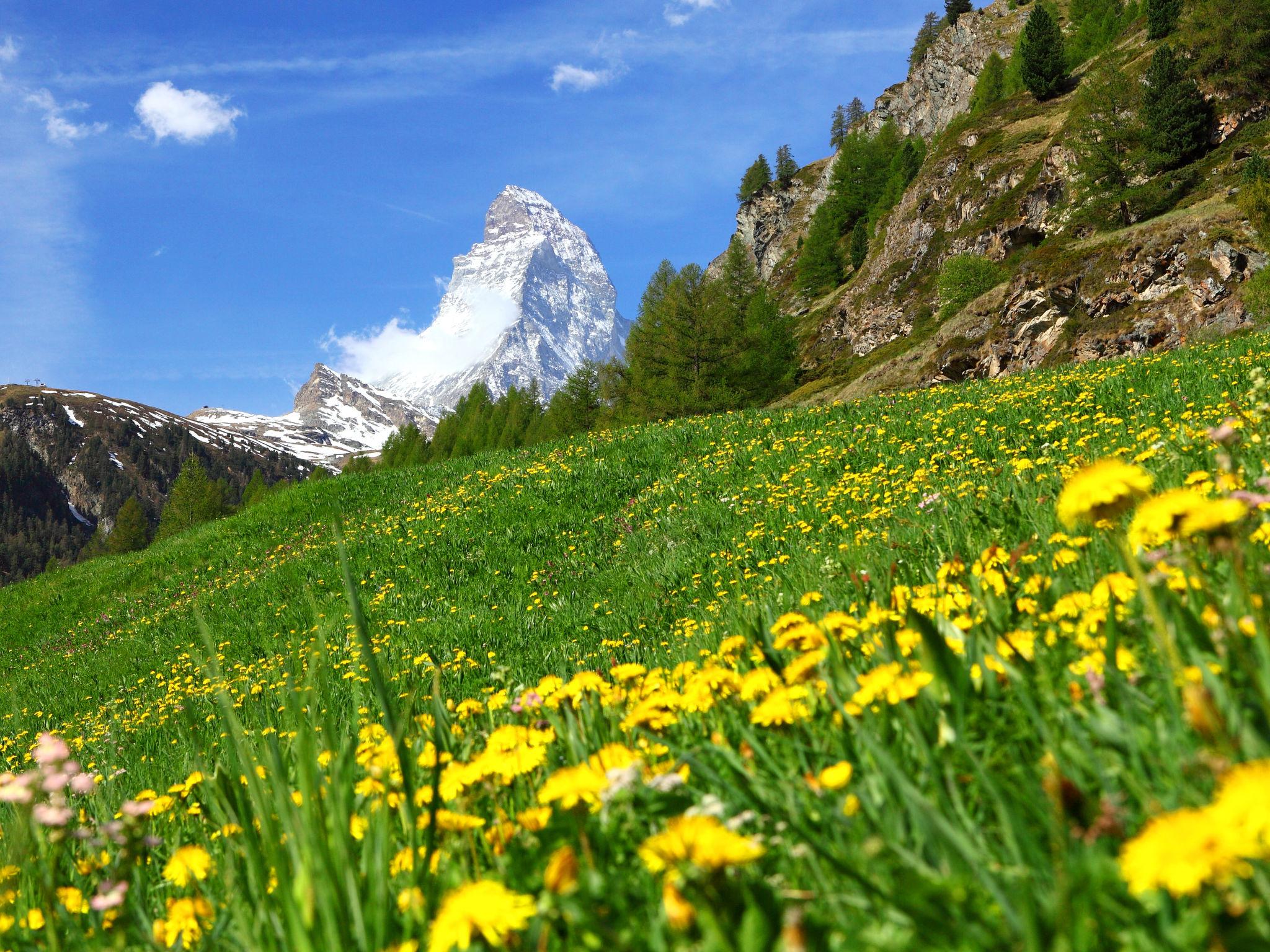 Foto 21 - Appartamento con 1 camera da letto a Zermatt con vista sulle montagne