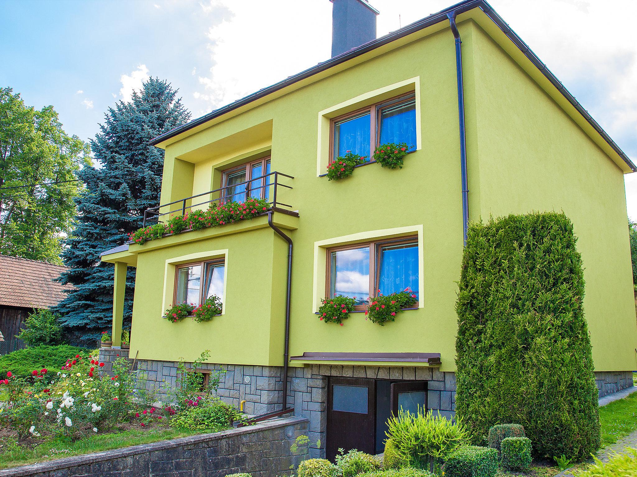 Photo 10 - Maison de 4 chambres à Lidečko avec jardin