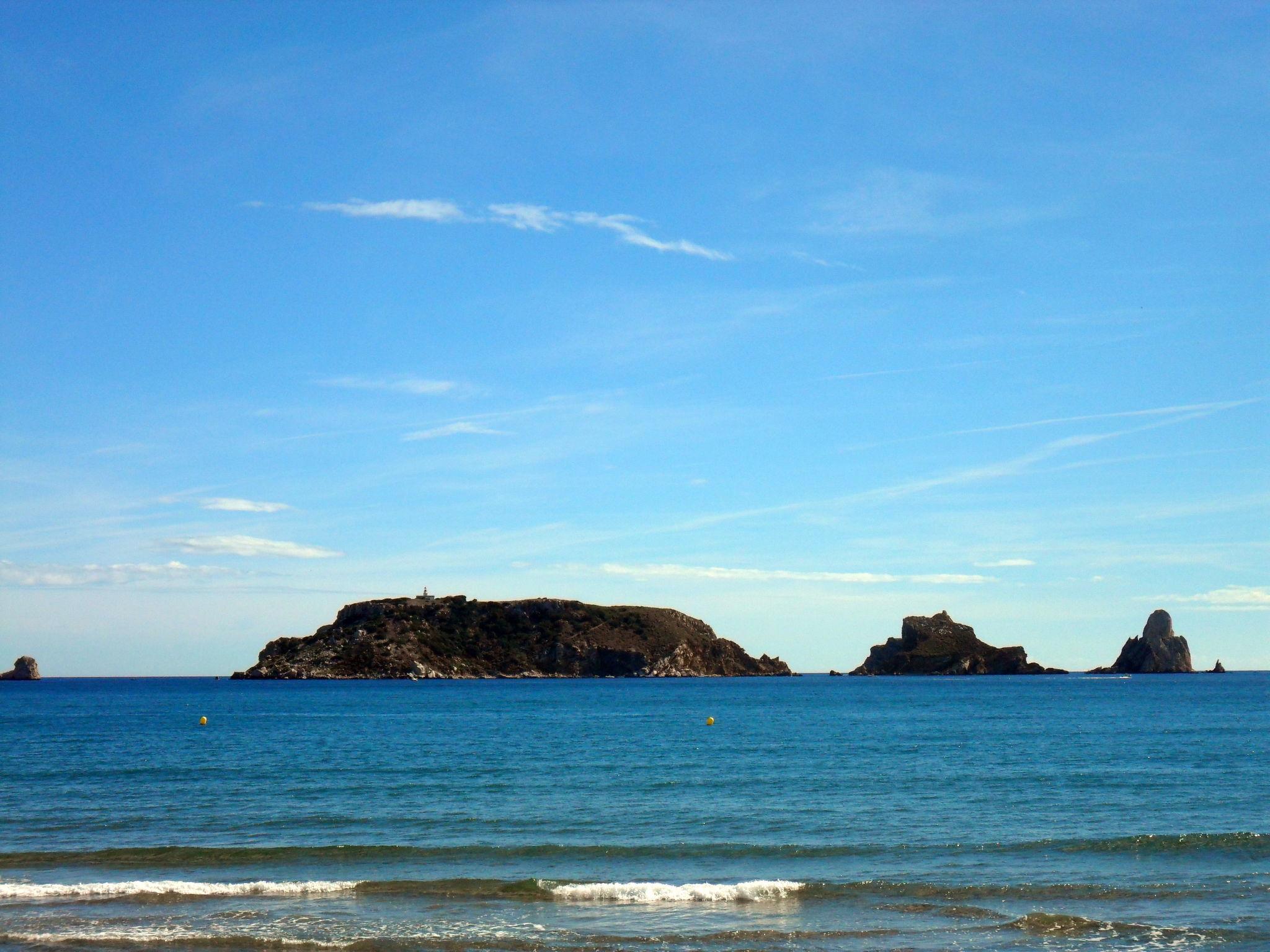 Photo 14 - Apartment in Torroella de Montgrí with swimming pool and sea view