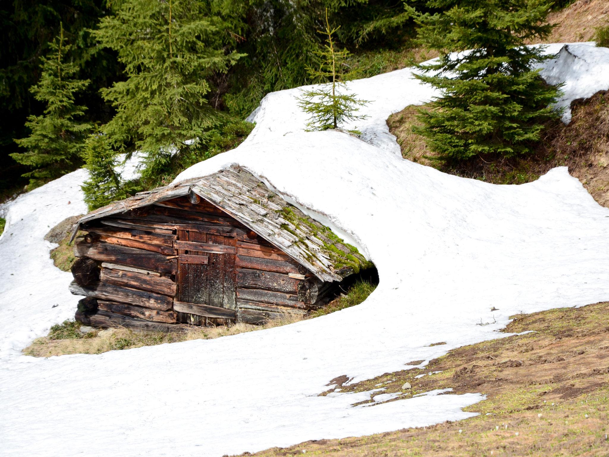 Foto 30 - Appartamento con 4 camere da letto a Kappl con terrazza e vista sulle montagne