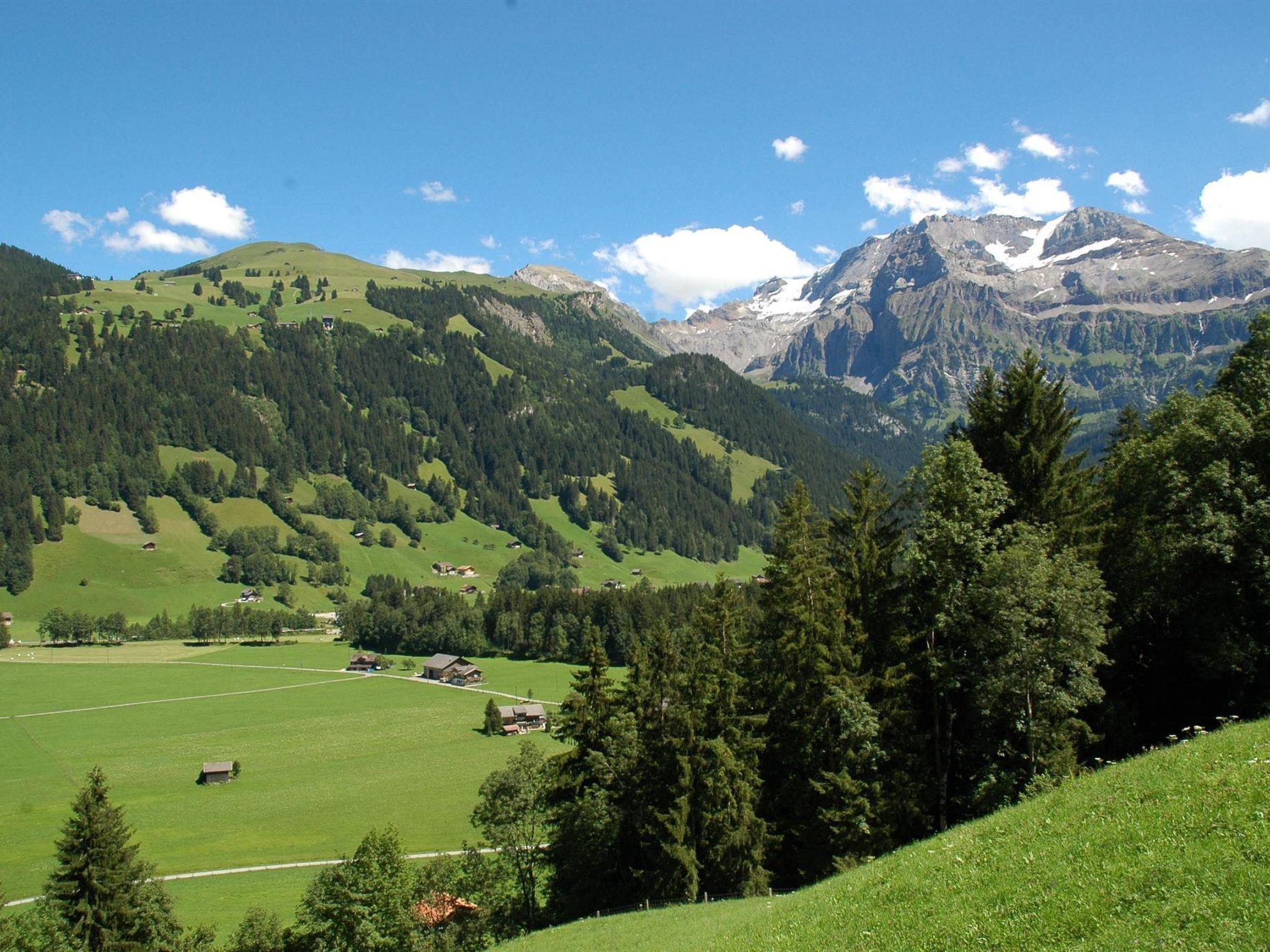 Photo 9 - Appartement de 3 chambres à Lenk avec jardin