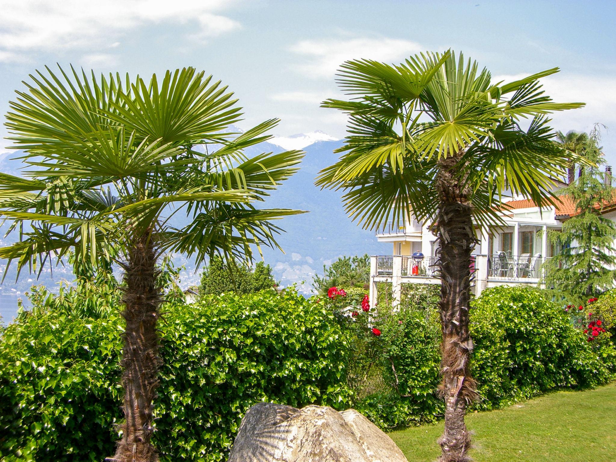 Foto 1 - Appartamento con 1 camera da letto a Gambarogno con piscina e giardino