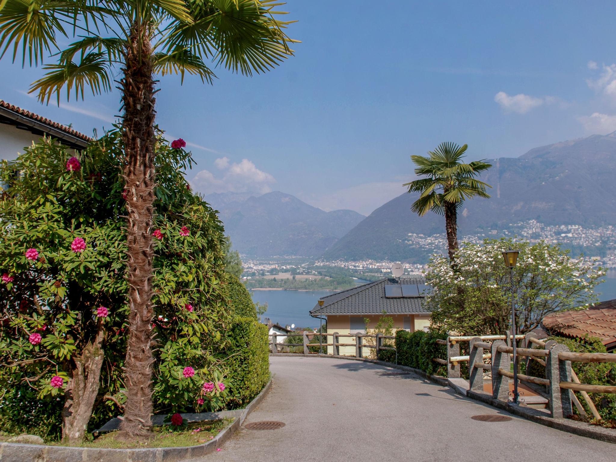 Foto 1 - Appartamento con 1 camera da letto a Gambarogno con piscina e giardino