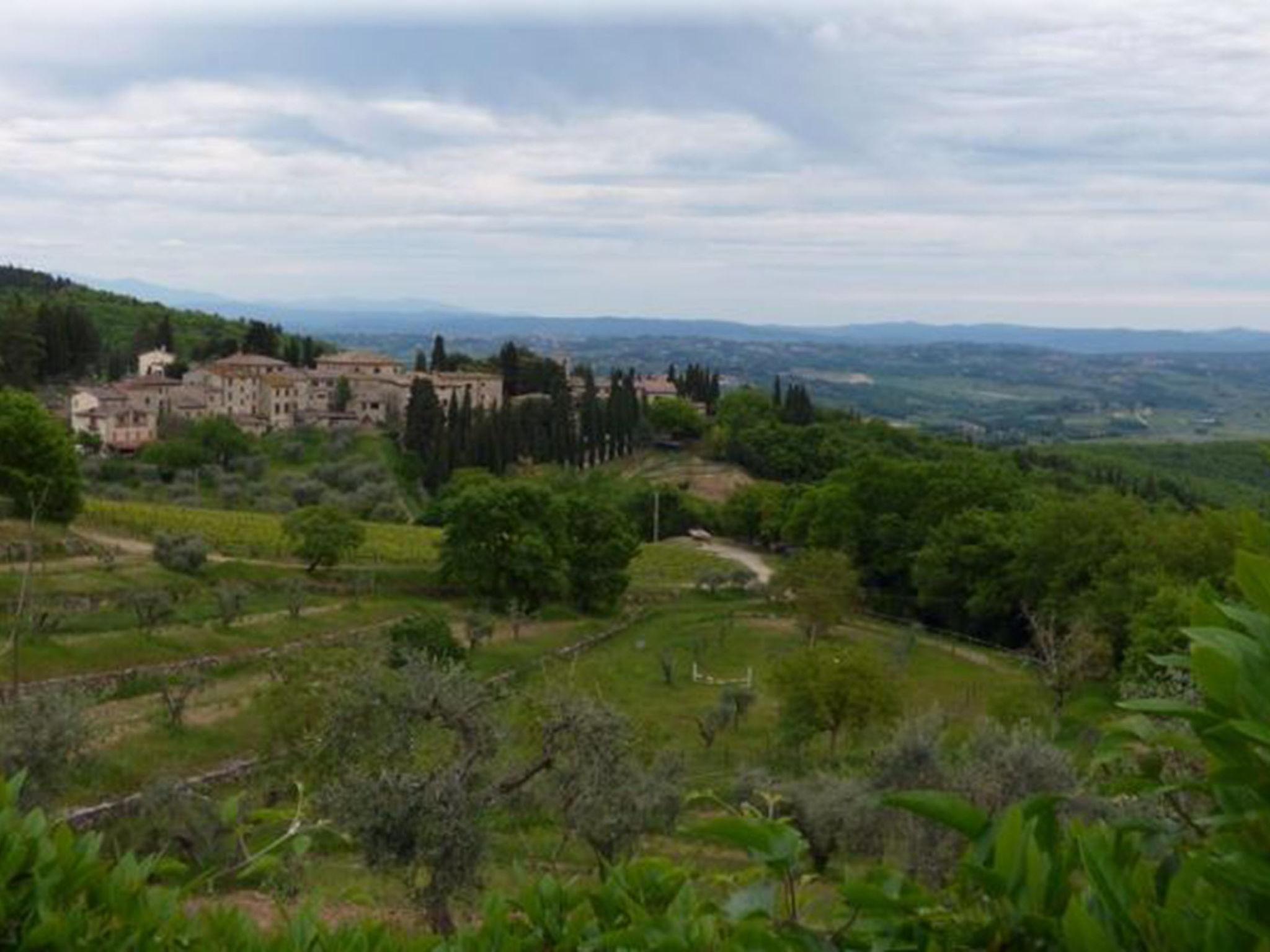 Photo 28 - 2 bedroom House in Castellina in Chianti with swimming pool and garden