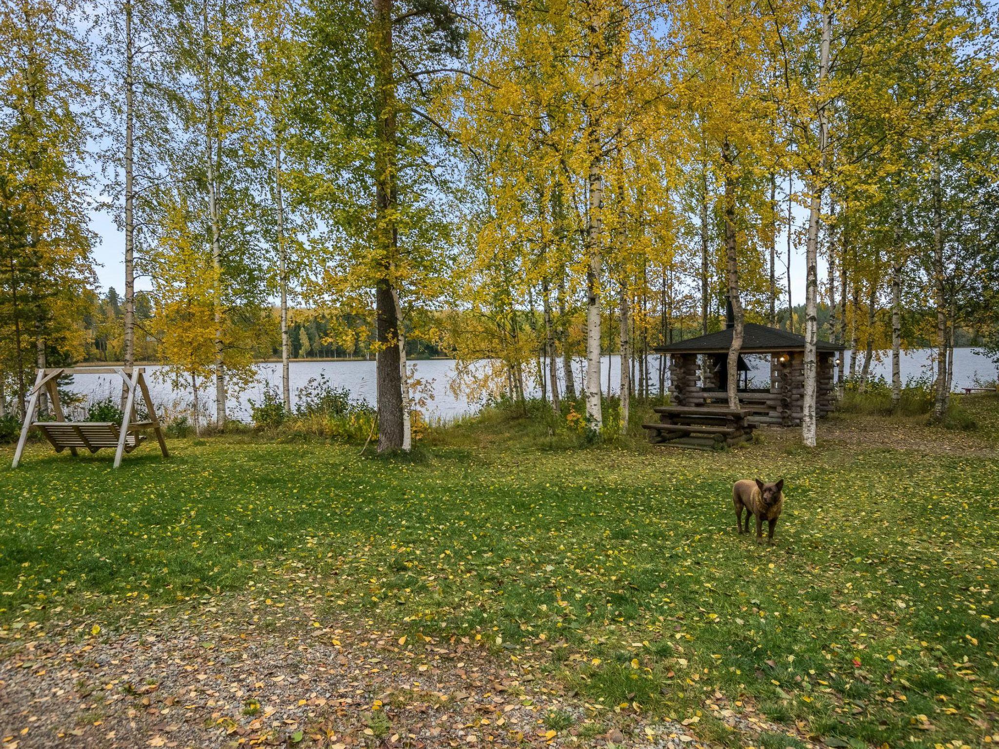 Photo 9 - Maison de 2 chambres à Hartola avec sauna