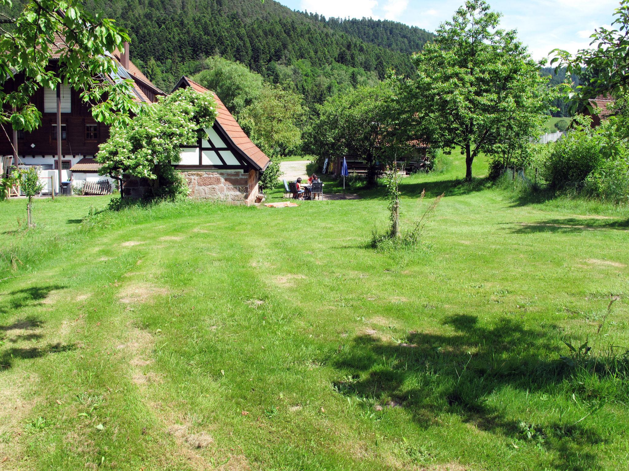 Foto 13 - Haus mit 1 Schlafzimmer in Alpirsbach mit garten und blick auf die berge