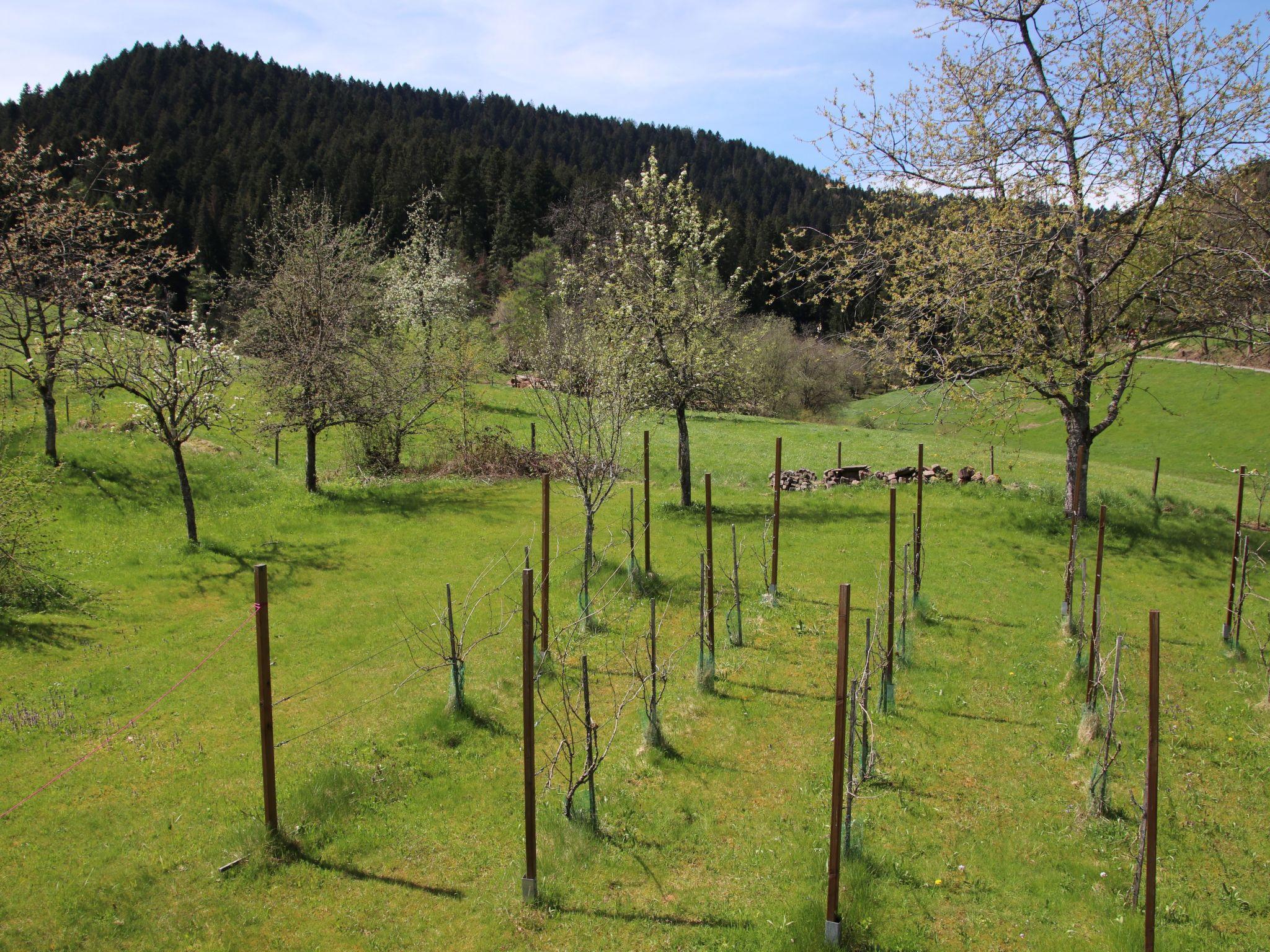 Foto 12 - Haus mit 1 Schlafzimmer in Alpirsbach mit garten und blick auf die berge