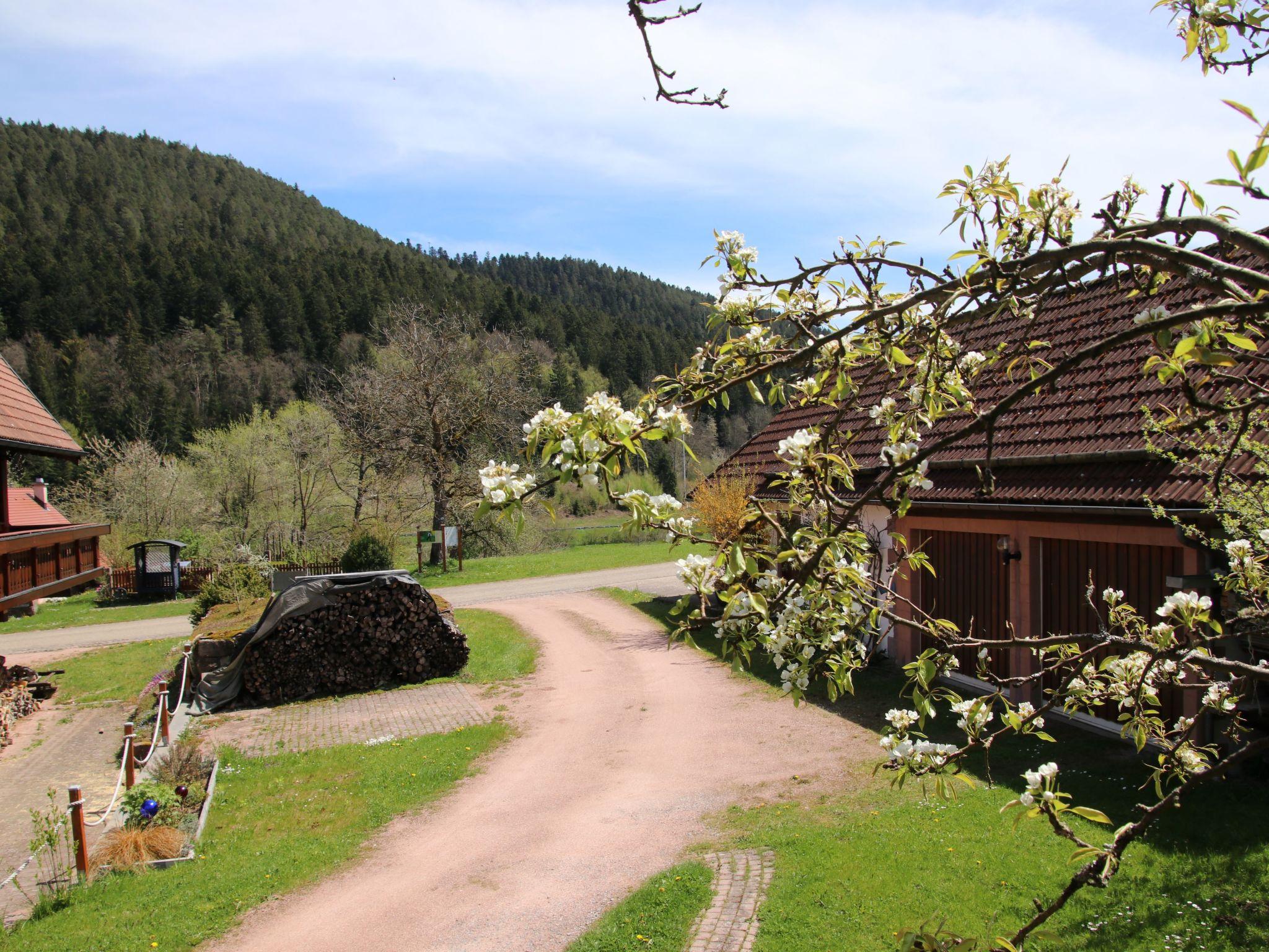 Foto 11 - Casa con 1 camera da letto a Alpirsbach con giardino e vista sulle montagne