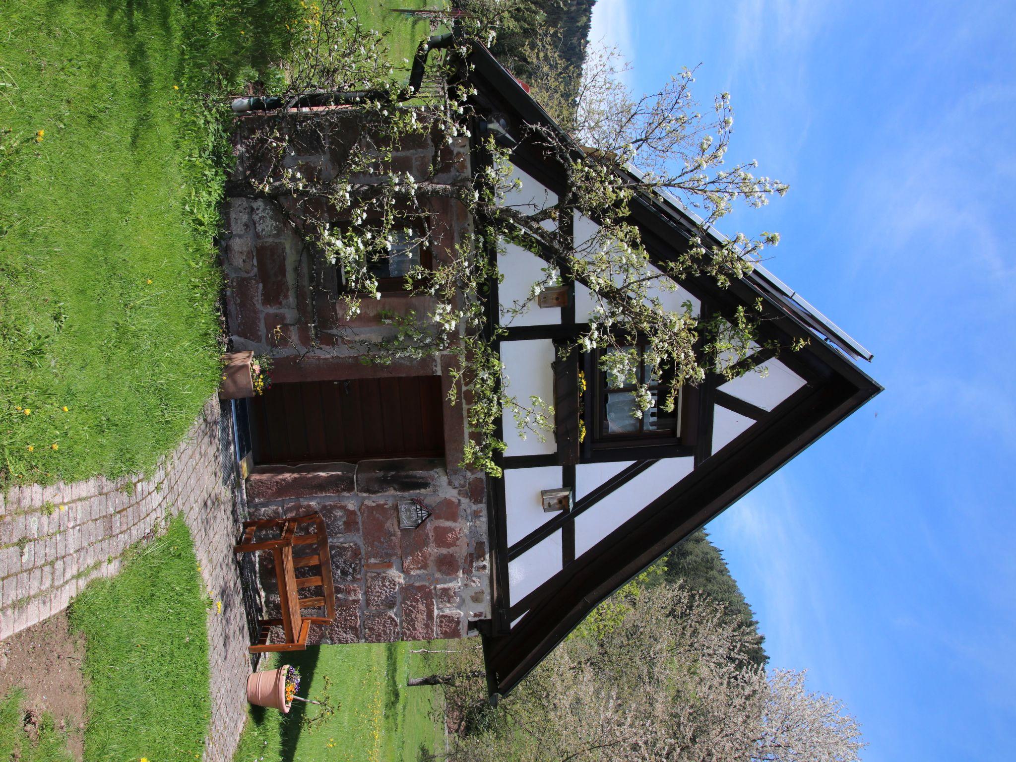 Photo 14 - Maison de 1 chambre à Alpirsbach avec jardin et terrasse