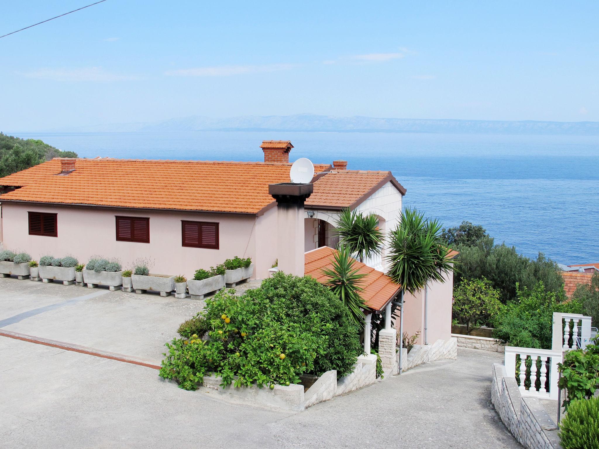 Foto 11 - Appartamento con 1 camera da letto a Blato con terrazza e vista mare