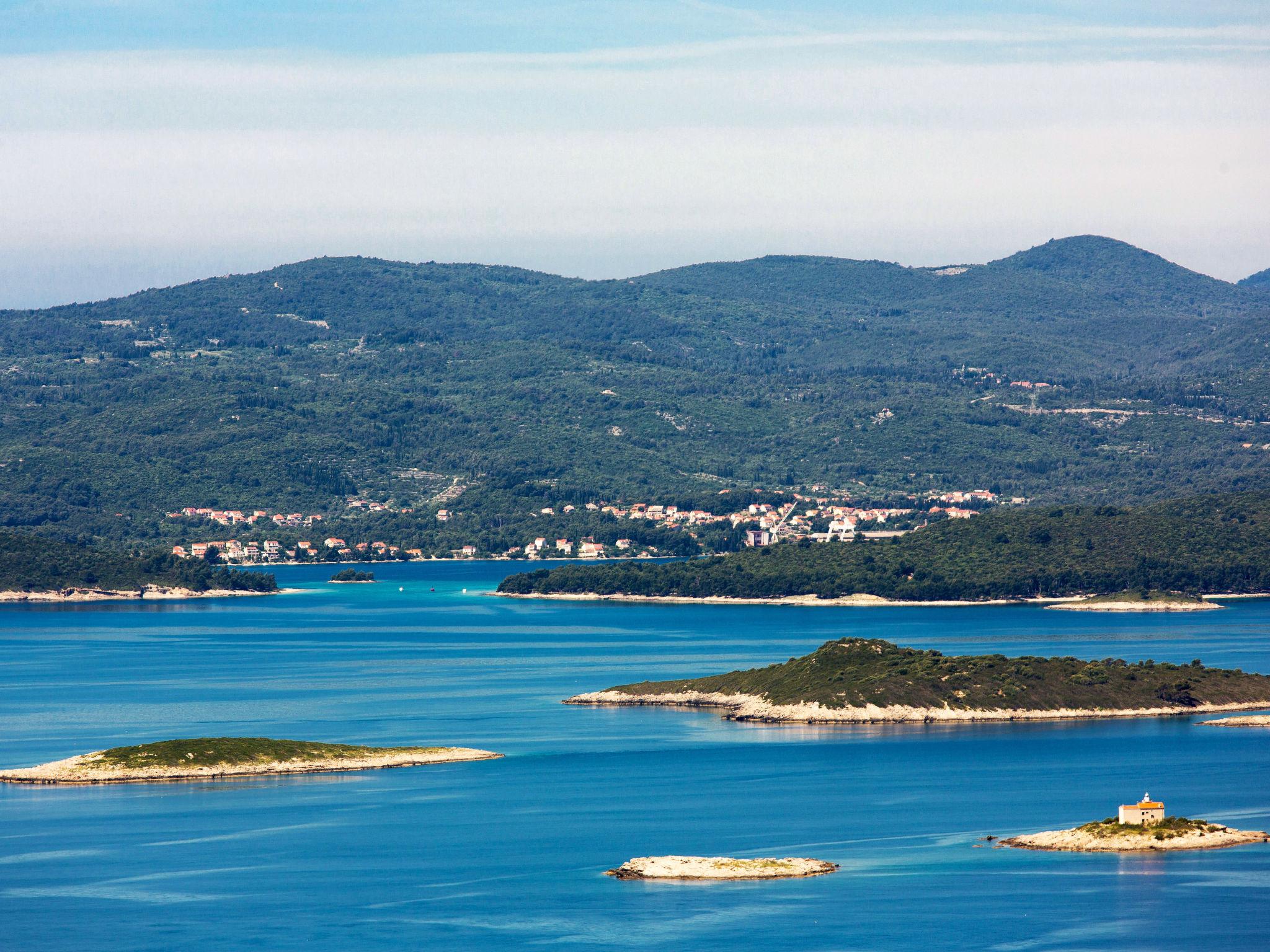 Photo 21 - 3 bedroom Apartment in Blato with terrace and sea view