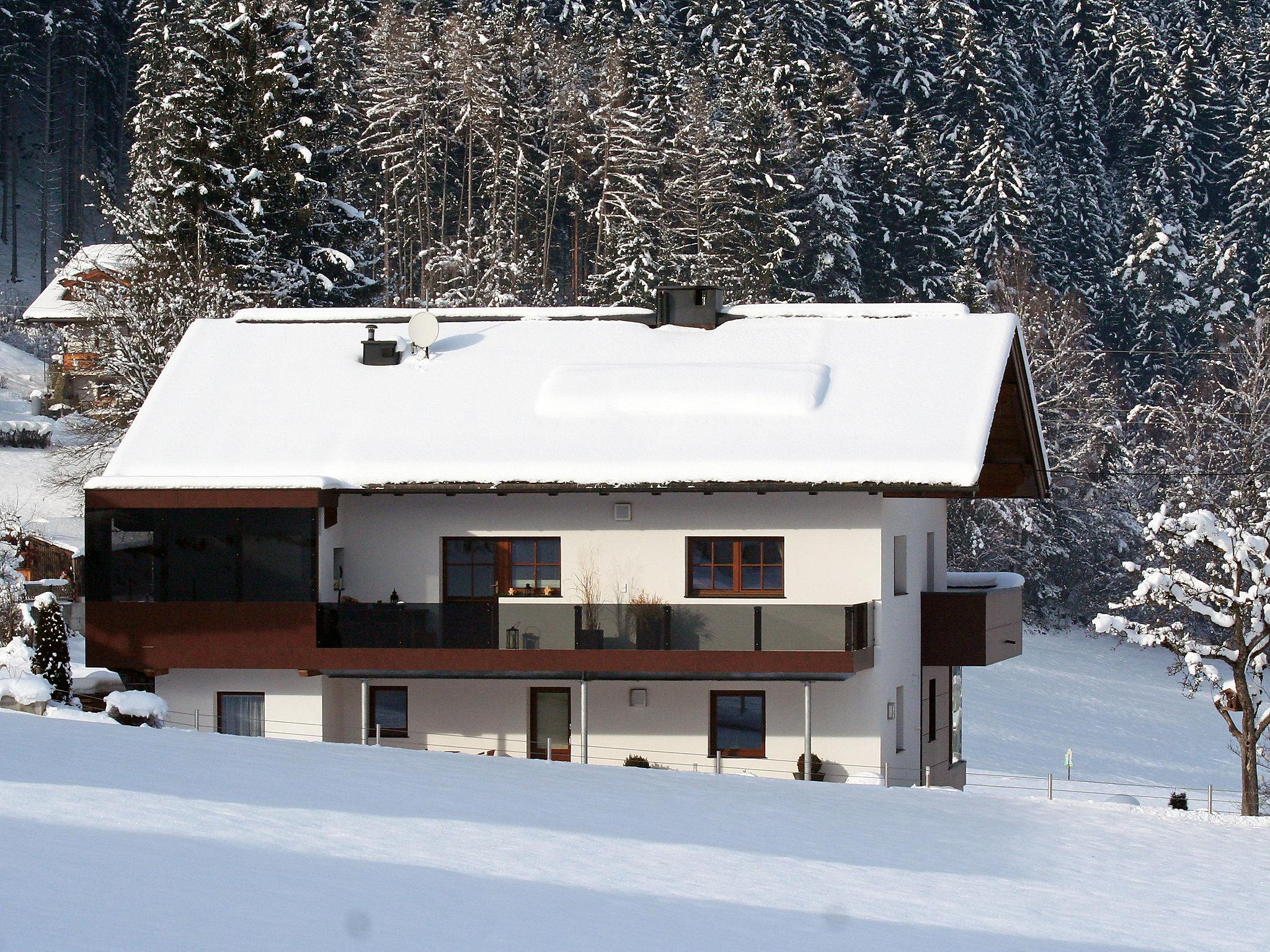 Foto 14 - Apartamento de 2 quartos em Ried im Zillertal com terraço e vista para a montanha