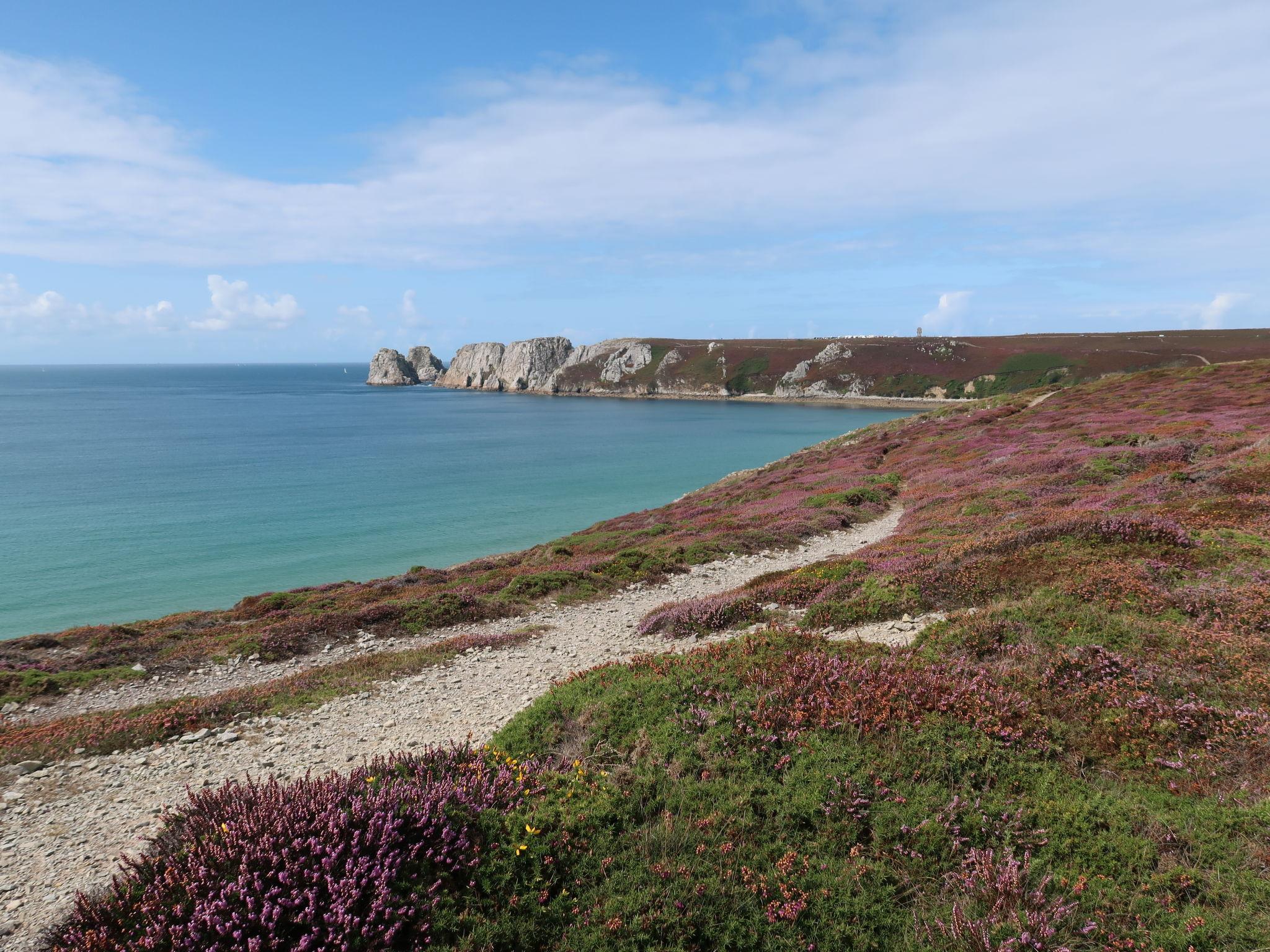 Photo 26 - Maison de 2 chambres à Roscanvel avec jardin et vues à la mer