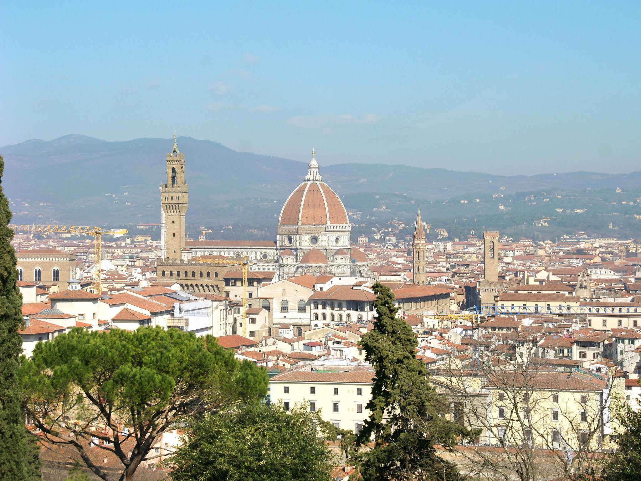 Foto 23 - Appartamento con 1 camera da letto a Firenze con terrazza