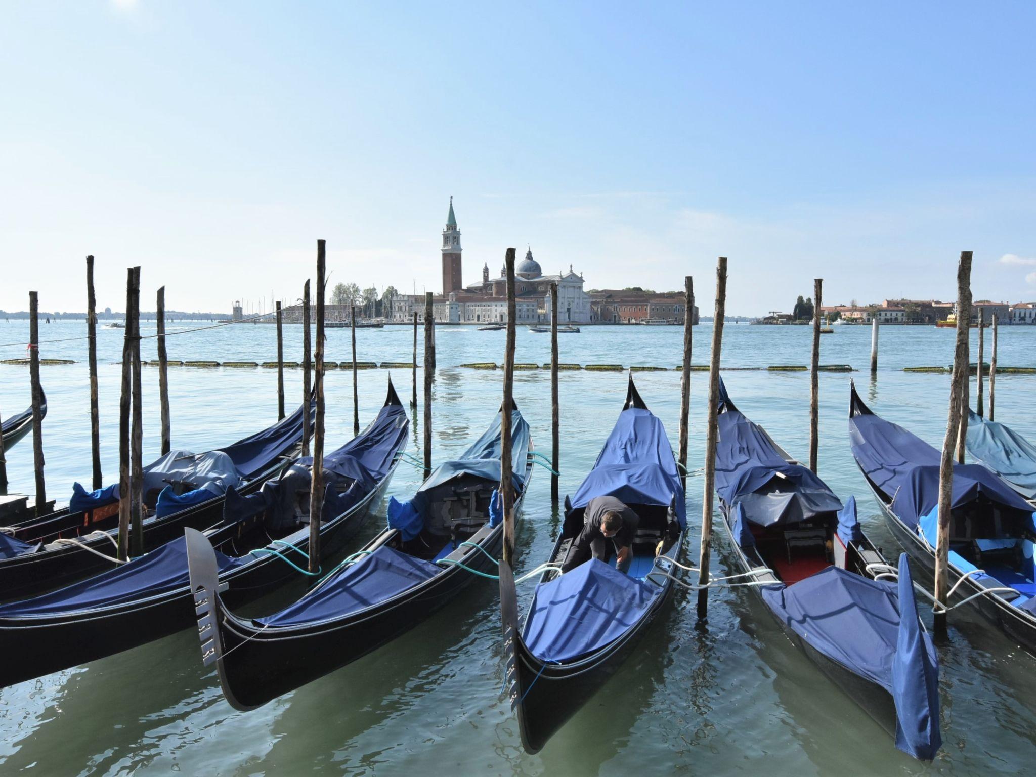 Photo 23 - 2 bedroom Apartment in Venice