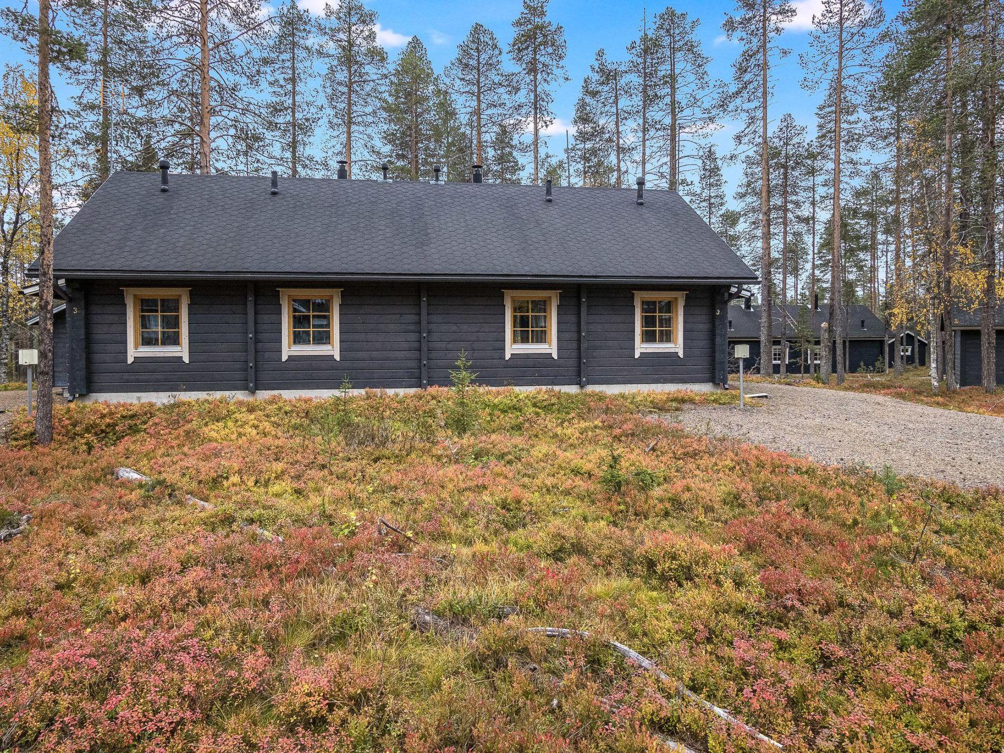 Photo 18 - 2 bedroom House in Kolari with sauna and mountain view