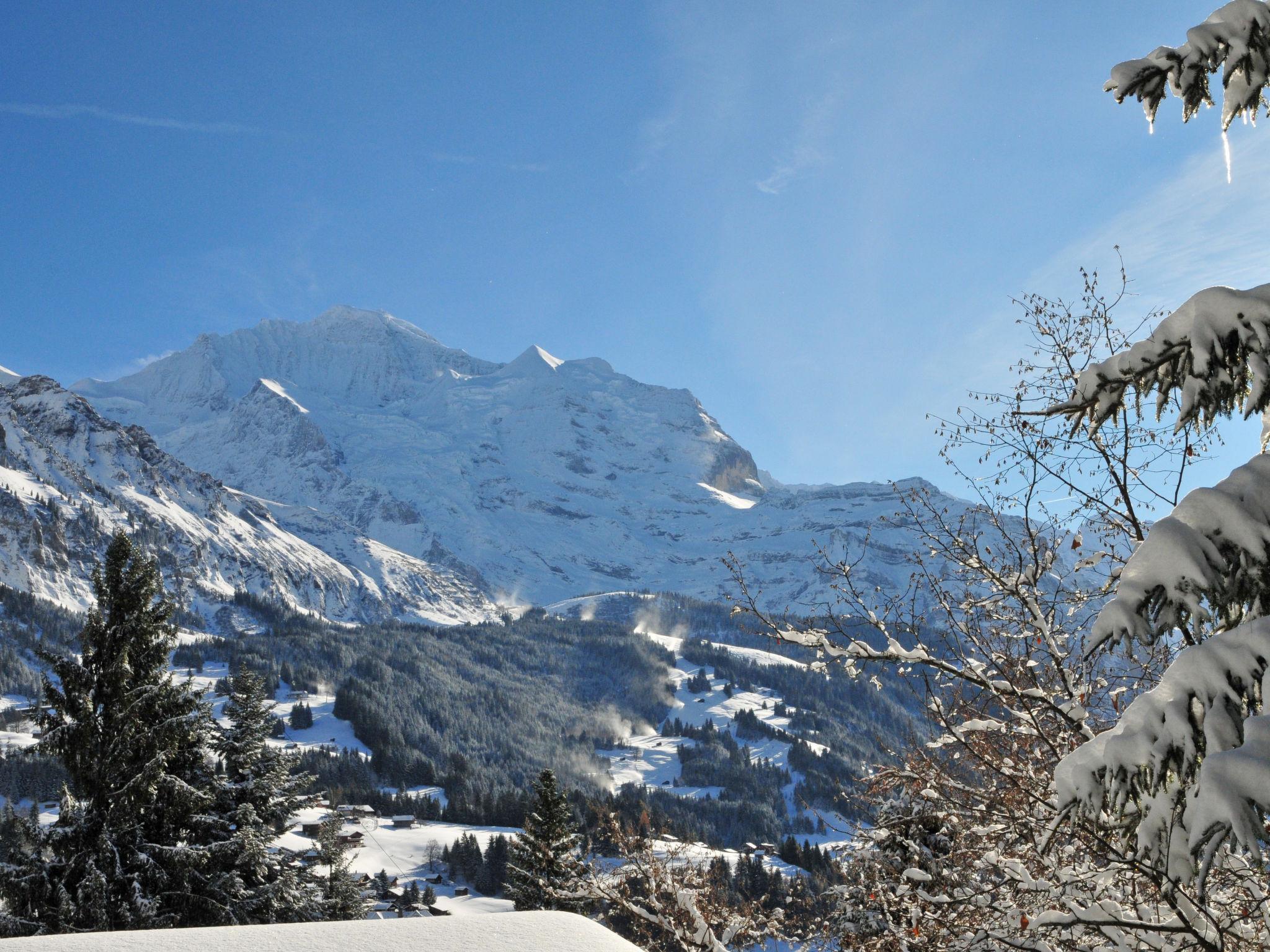 Photo 26 - Appartement de 4 chambres à Lauterbrunnen avec vues sur la montagne