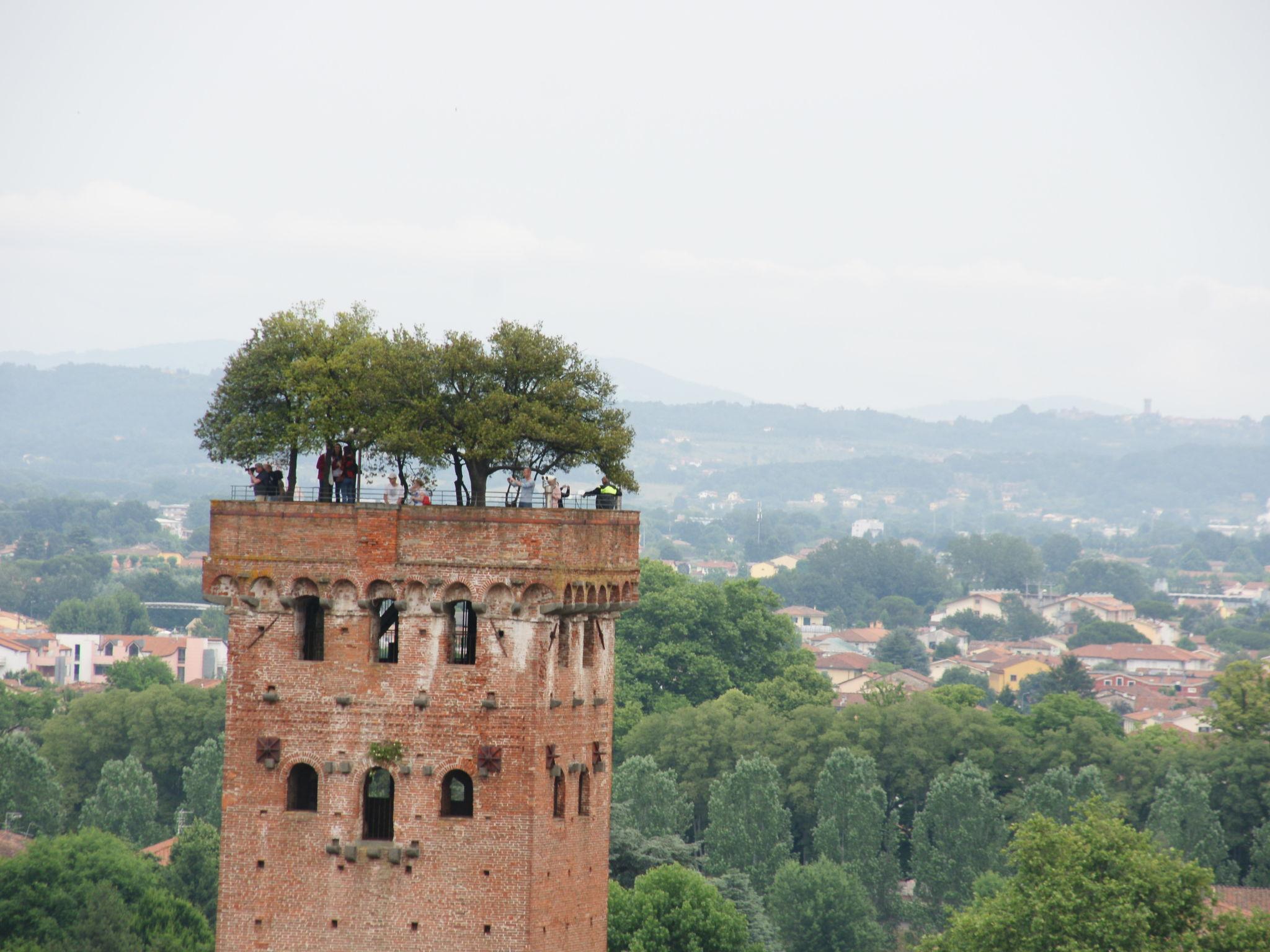 Foto 24 - Casa de 4 quartos em Lucca com jardim e terraço