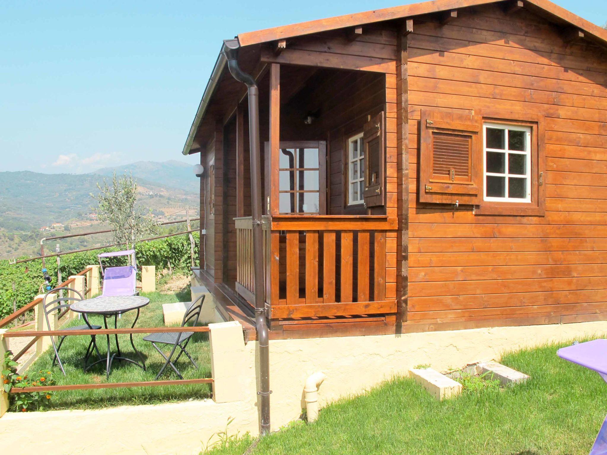 Foto 5 - Casa de 2 quartos em San Lorenzo al Mare com piscina e jardim