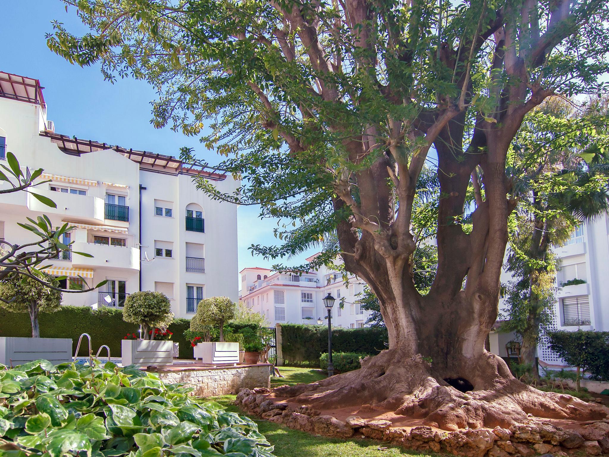 Foto 17 - Appartamento con 3 camere da letto a Torremolinos con piscina e vista mare