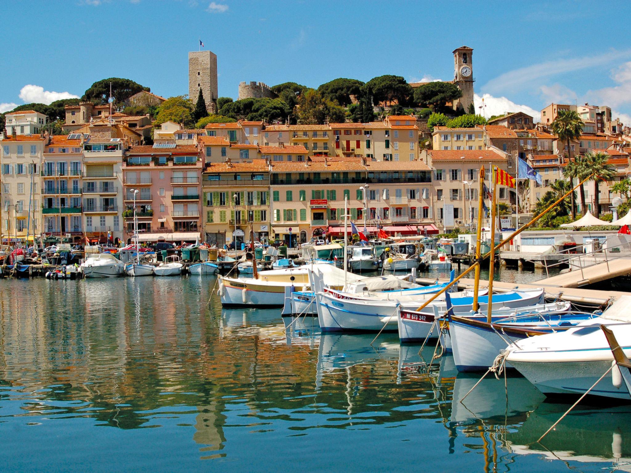 Foto 17 - Appartamento con 1 camera da letto a Cannes con piscina e vista mare