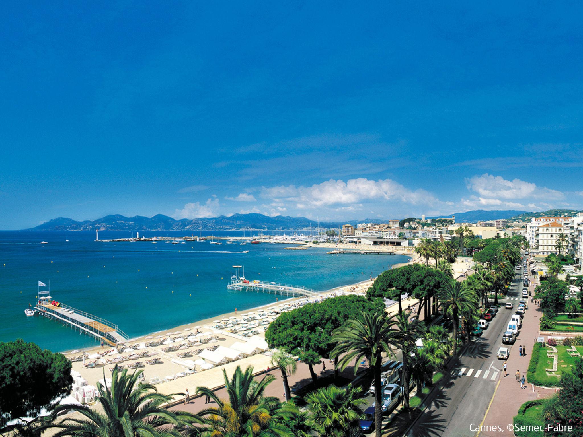 Foto 22 - Appartamento con 1 camera da letto a Cannes con piscina e vista mare