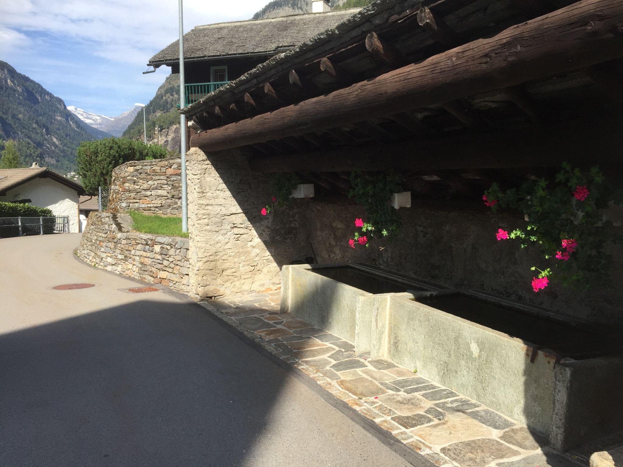 Photo 25 - Maison de 1 chambre à Calanca avec jardin et vues sur la montagne