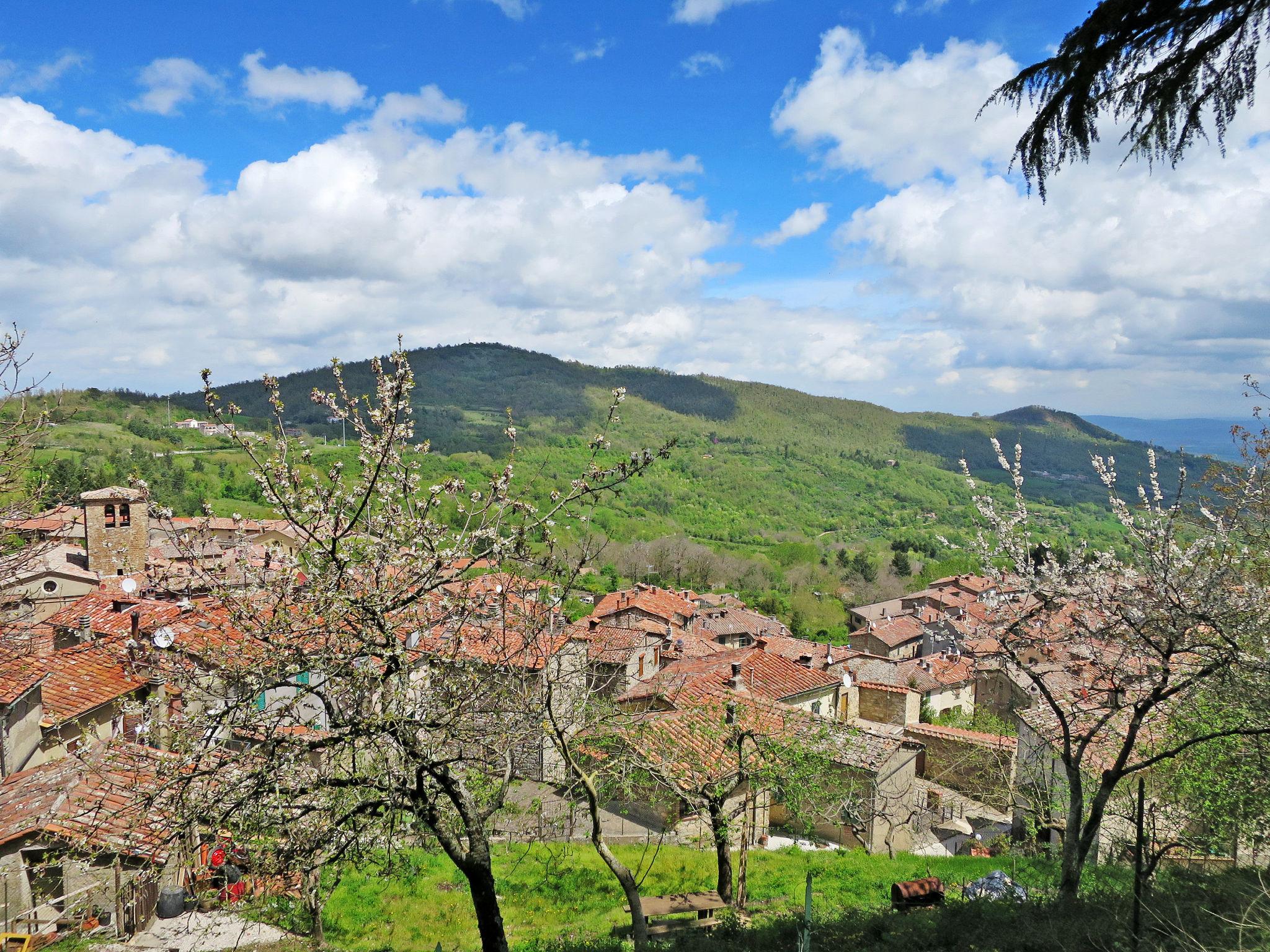 Photo 46 - 4 bedroom House in Montieri with garden and terrace