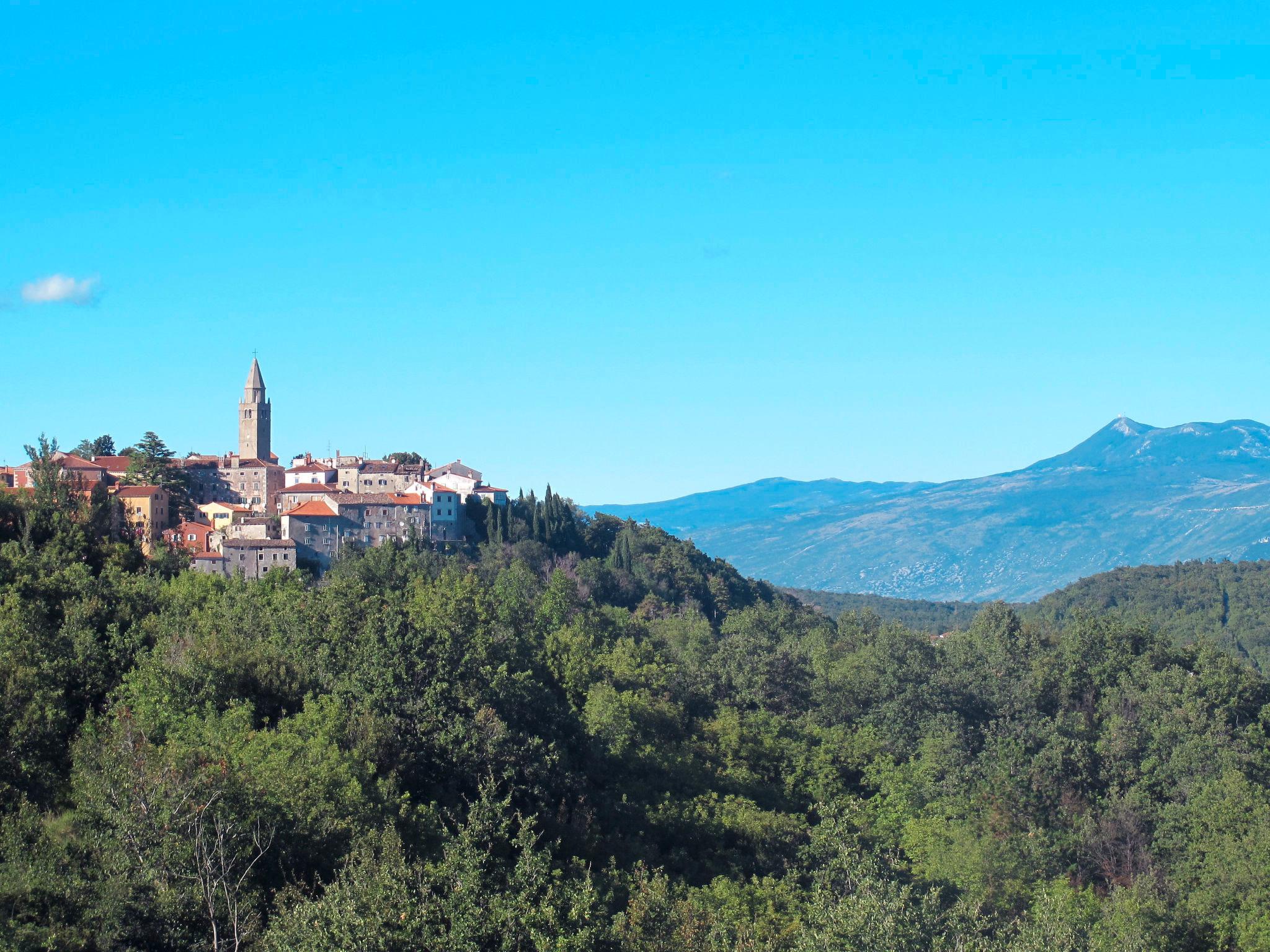 Photo 60 - 6 bedroom House in Labin with private pool and garden