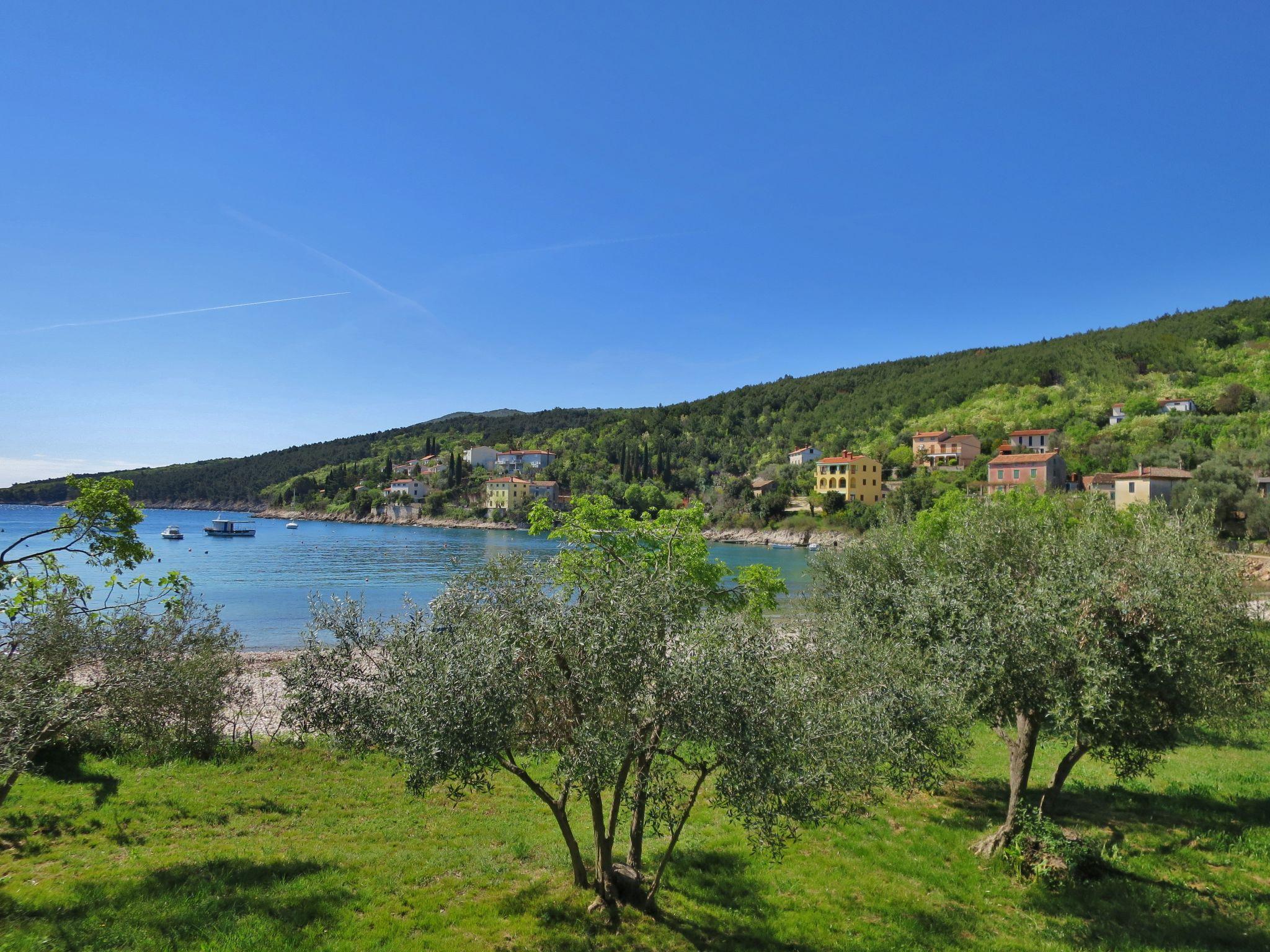 Foto 23 - Appartamento con 1 camera da letto a Raša con vista mare