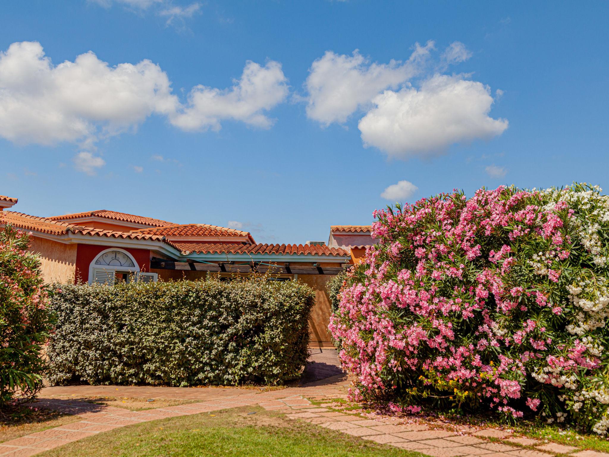 Foto 4 - Apartamento de 2 quartos em San Teodoro com piscina e vistas do mar