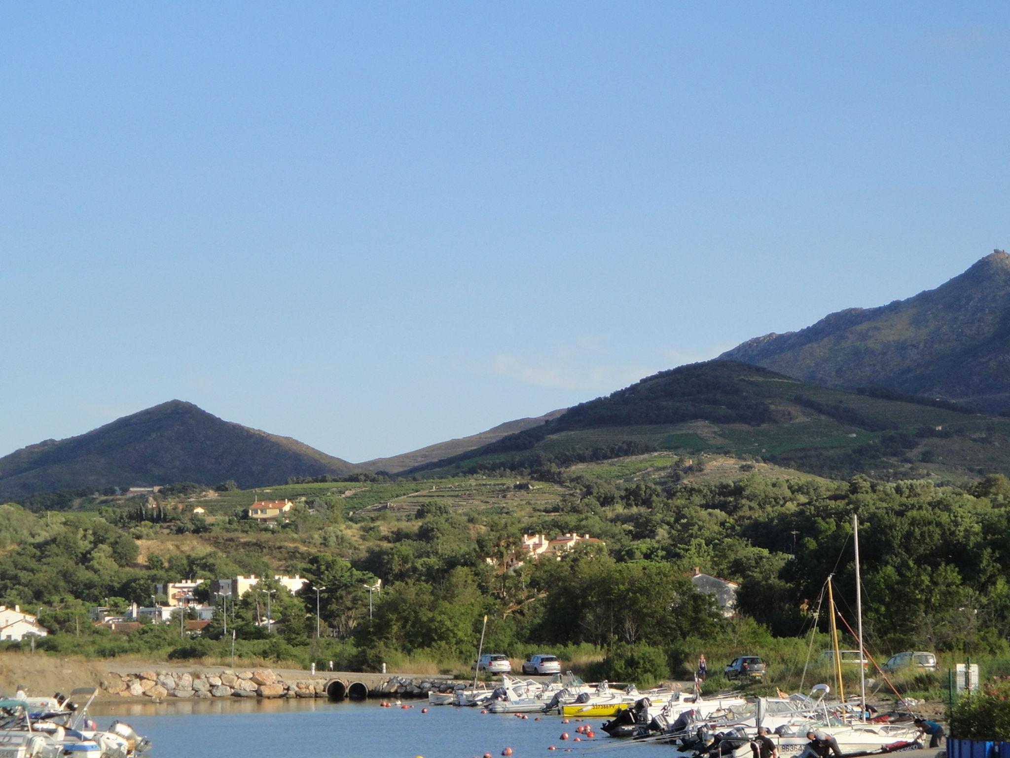 Foto 31 - Appartamento con 2 camere da letto a Argelès-sur-Mer con vista mare