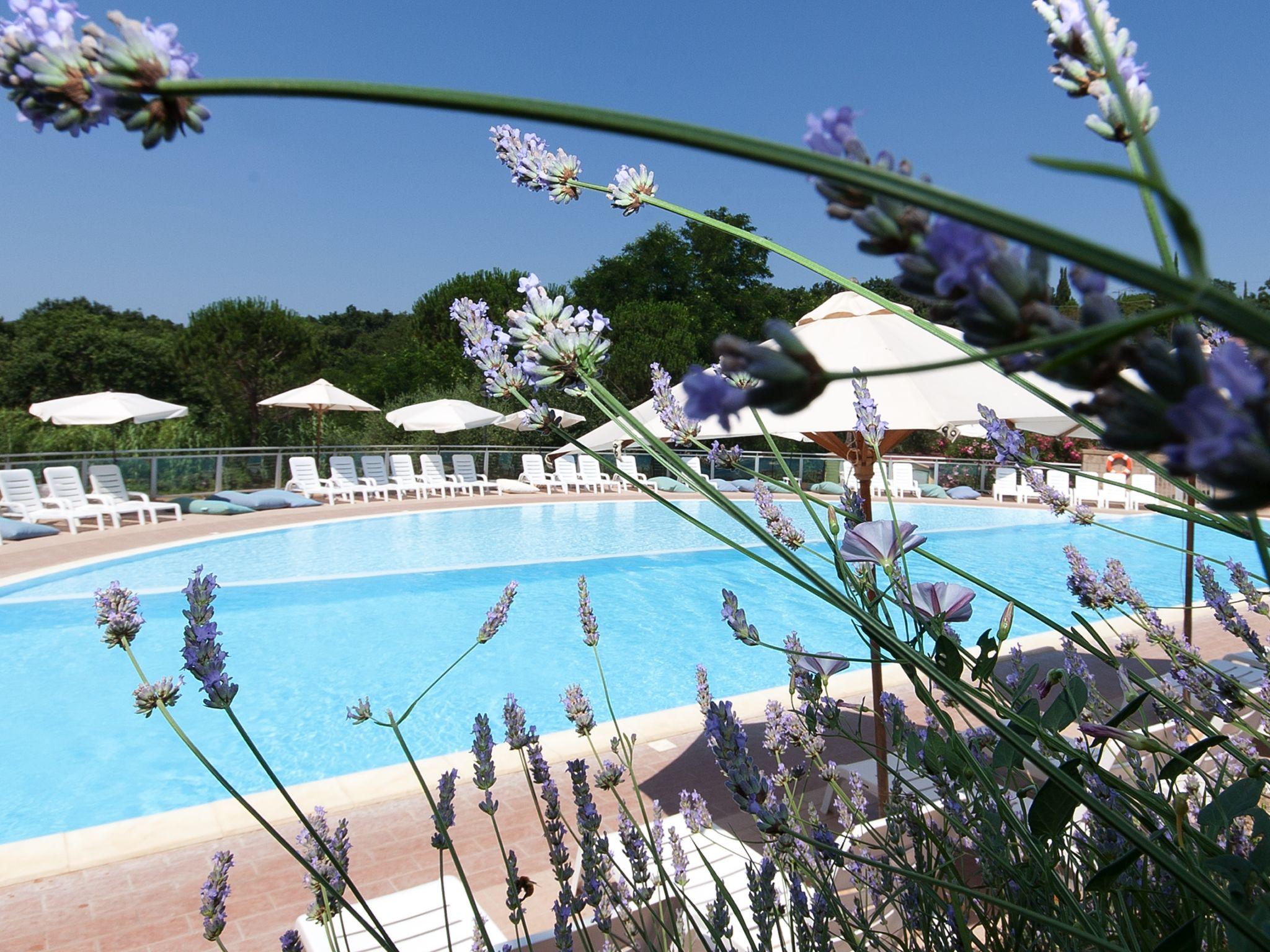 Photo 16 - Maison de 2 chambres à Guardistallo avec piscine et vues à la mer