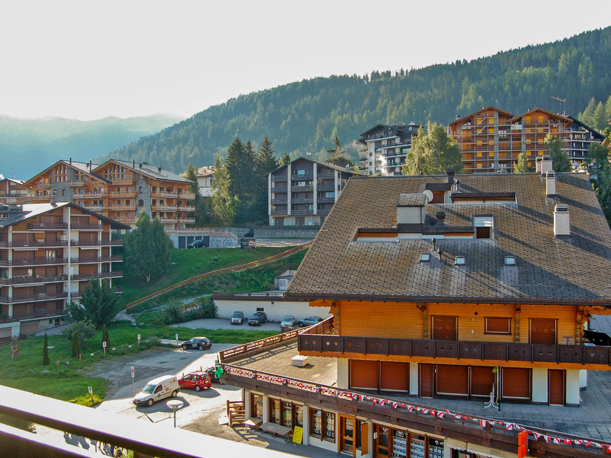 Photo 12 - 1 bedroom Apartment in Nendaz with mountain view