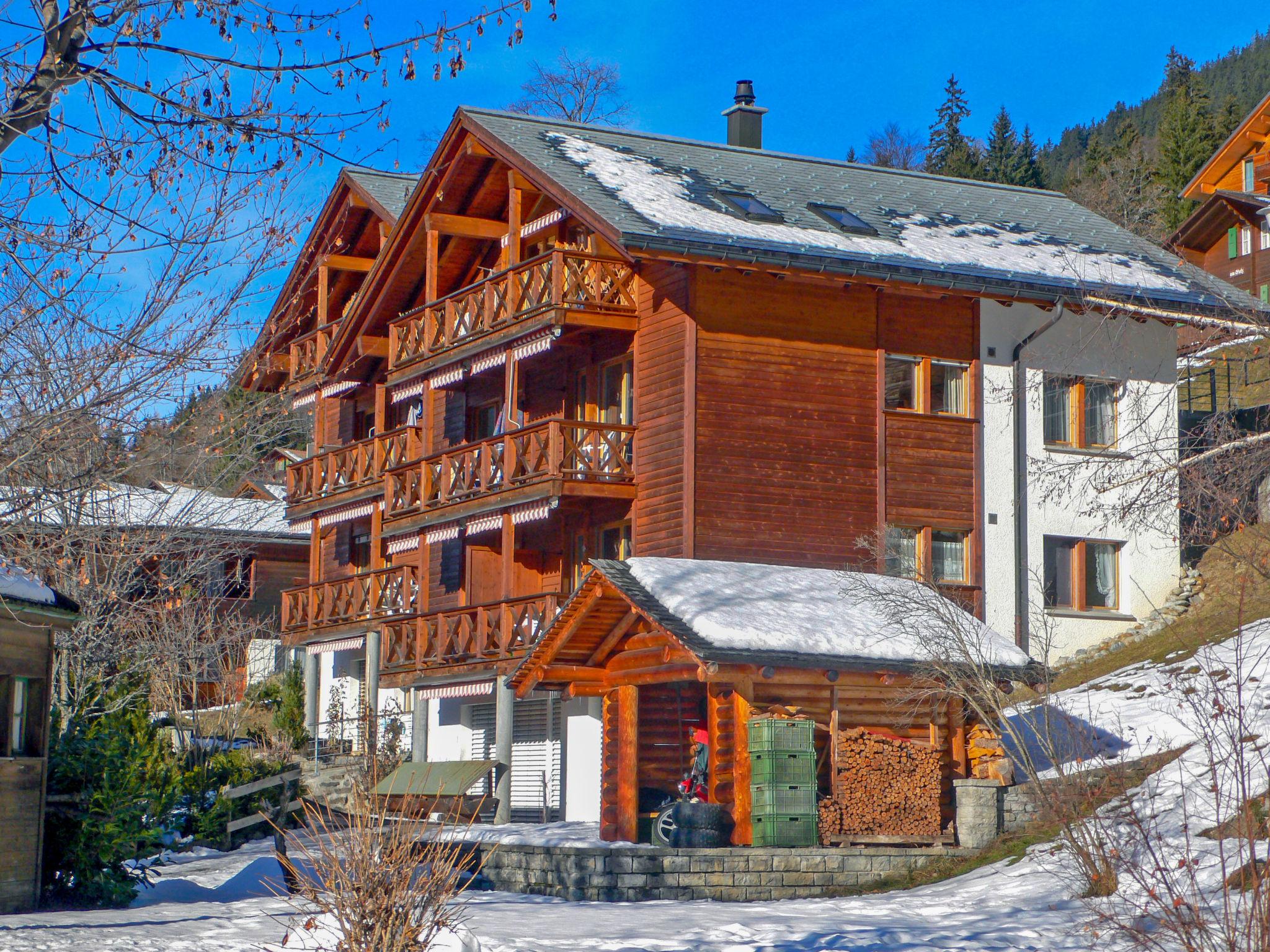 Photo 11 - Appartement en Lauterbrunnen avec vues sur la montagne