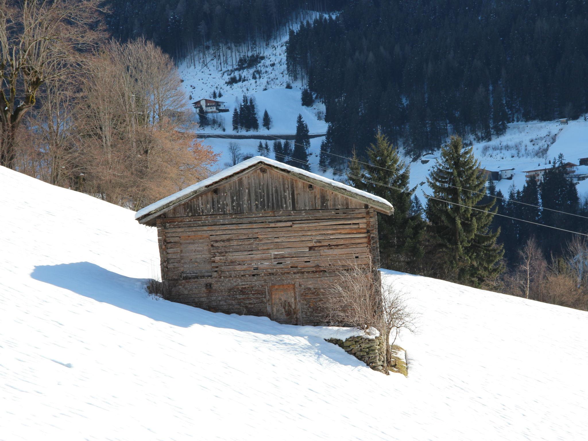 Foto 32 - Apartamento de 2 quartos em Gerlosberg com jardim