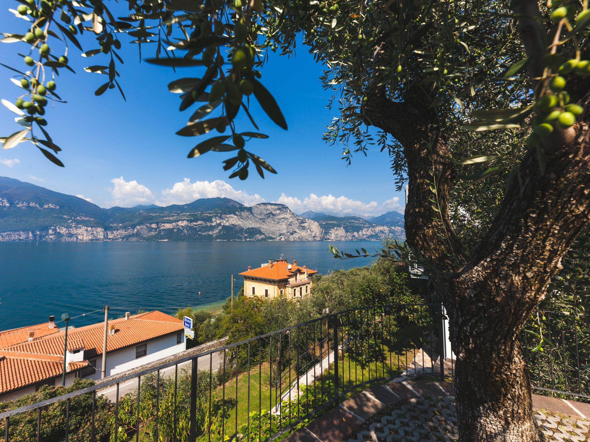 Foto 15 - Appartamento con 1 camera da letto a Brenzone sul Garda con giardino e vista sulle montagne