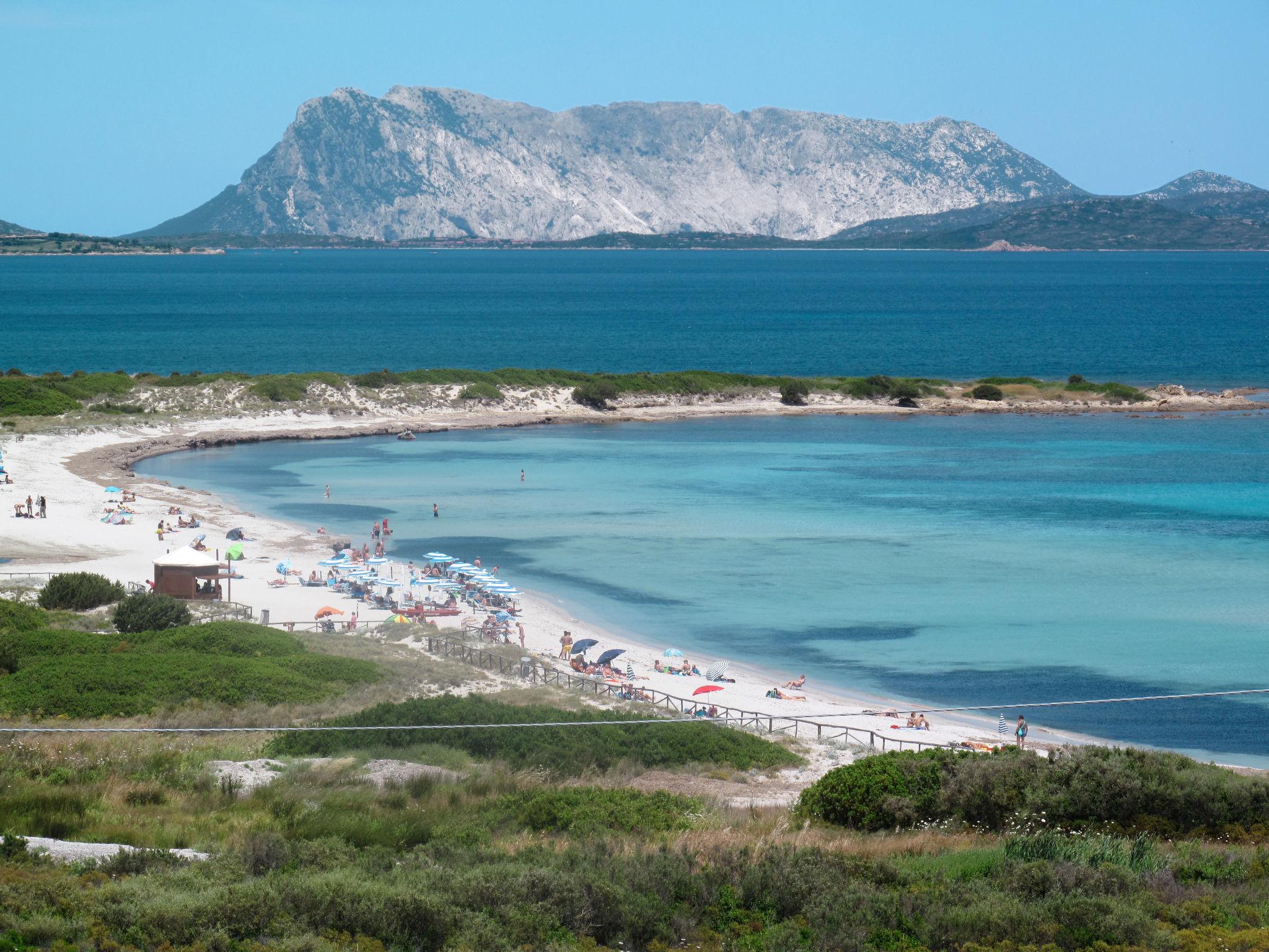 Photo 18 - 2 bedroom Apartment in San Teodoro with terrace and sea view