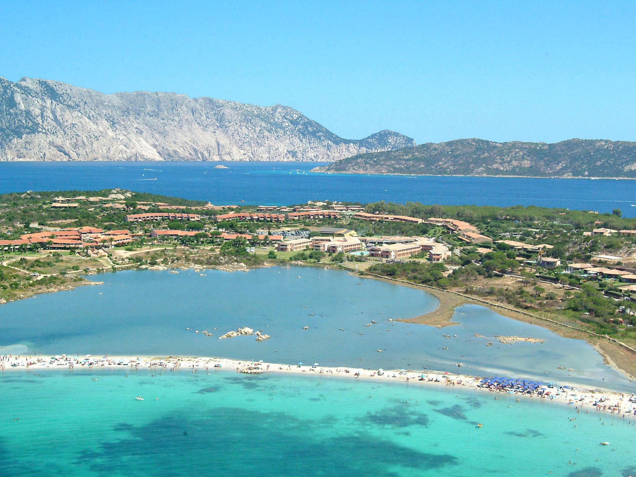 Foto 46 - Haus mit 2 Schlafzimmern in San Teodoro mit schwimmbad und garten