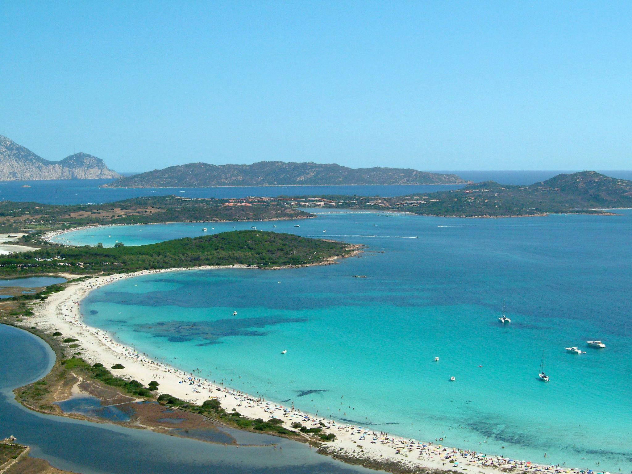 Foto 45 - Haus mit 2 Schlafzimmern in San Teodoro mit schwimmbad und garten