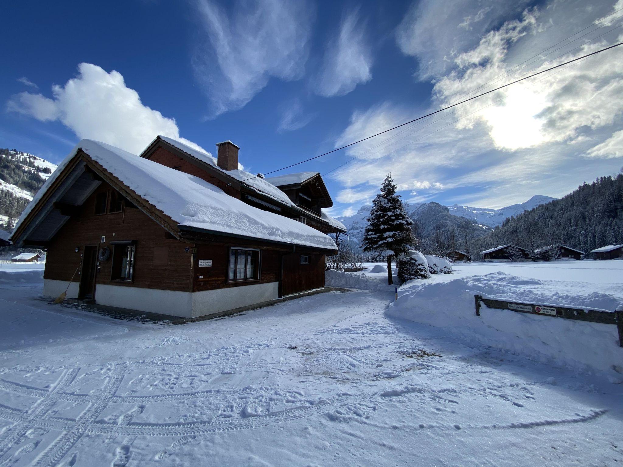 Photo 1 - 1 bedroom Apartment in Lenk