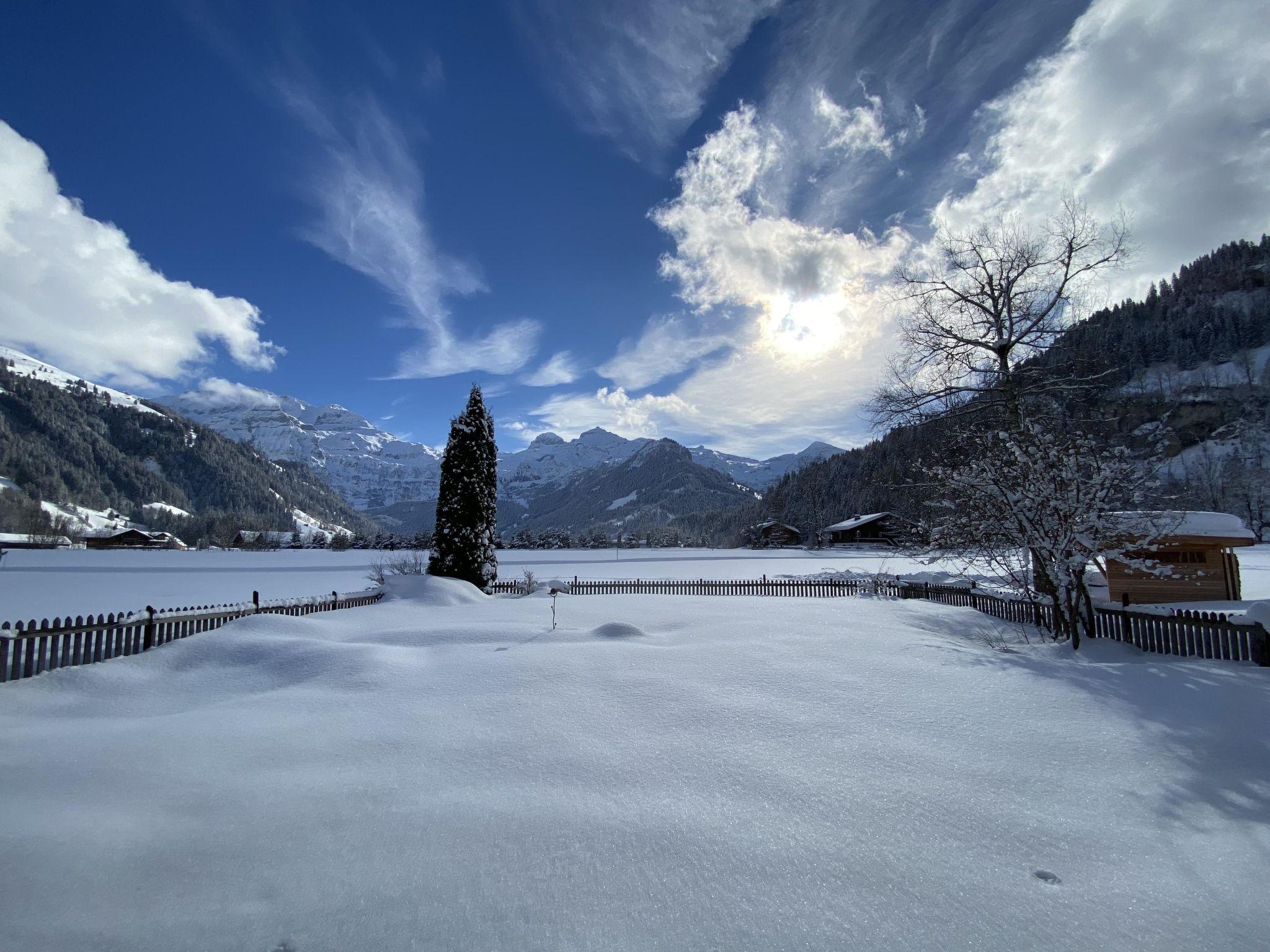 Photo 2 - 1 bedroom Apartment in Lenk