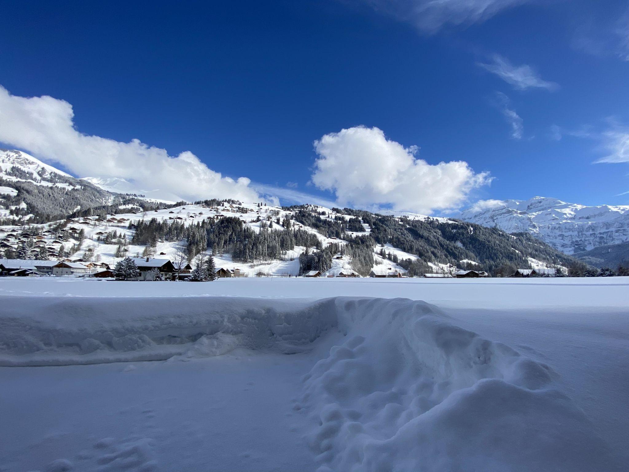 Photo 3 - 1 bedroom Apartment in Lenk