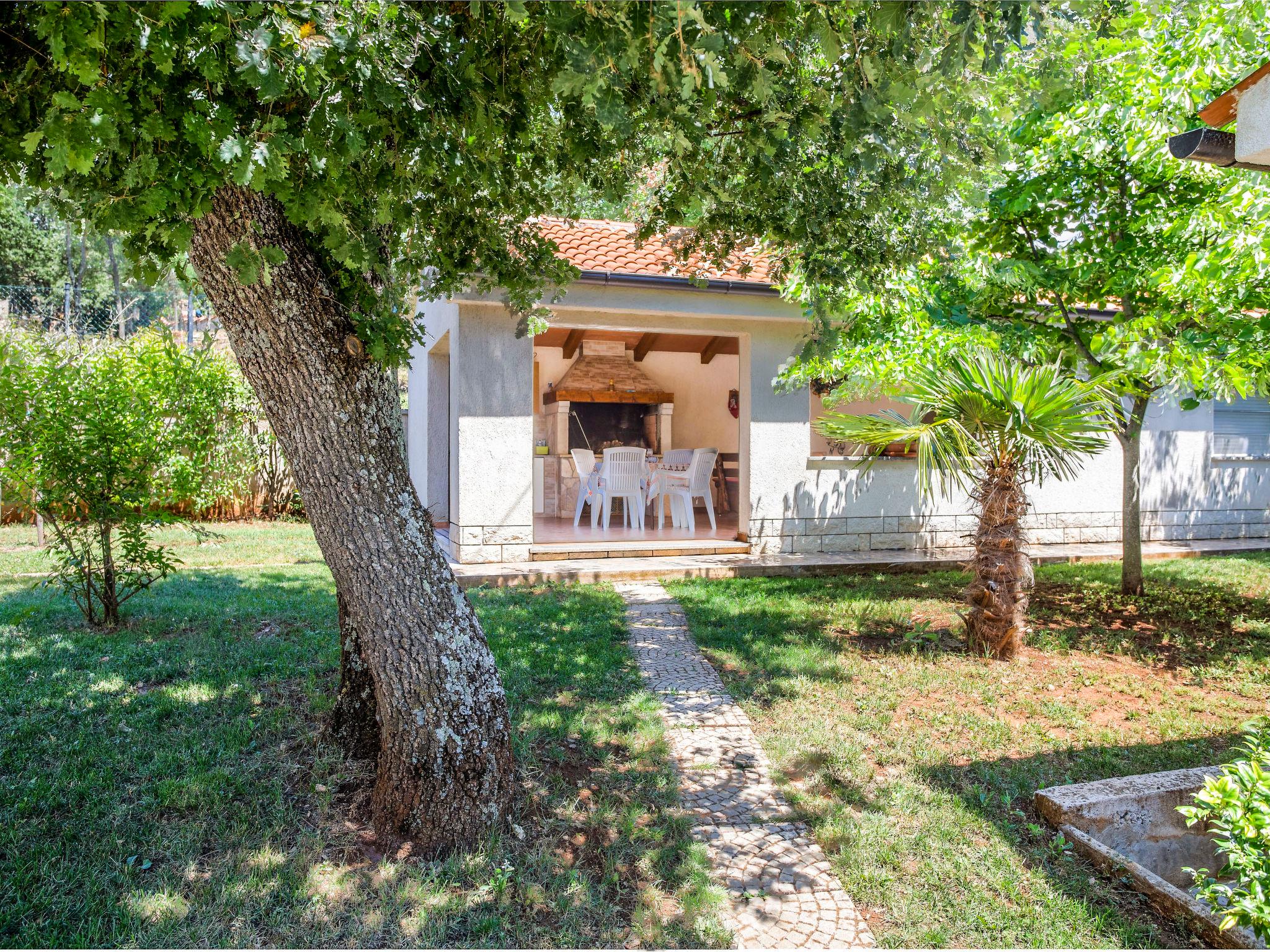 Foto 23 - Appartamento con 2 camere da letto a Kaštelir-Labinci con piscina e giardino