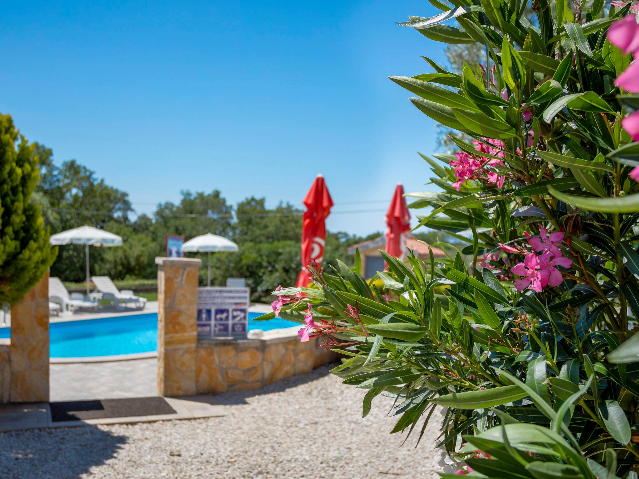 Foto 24 - Appartamento con 2 camere da letto a Kaštelir-Labinci con piscina e giardino