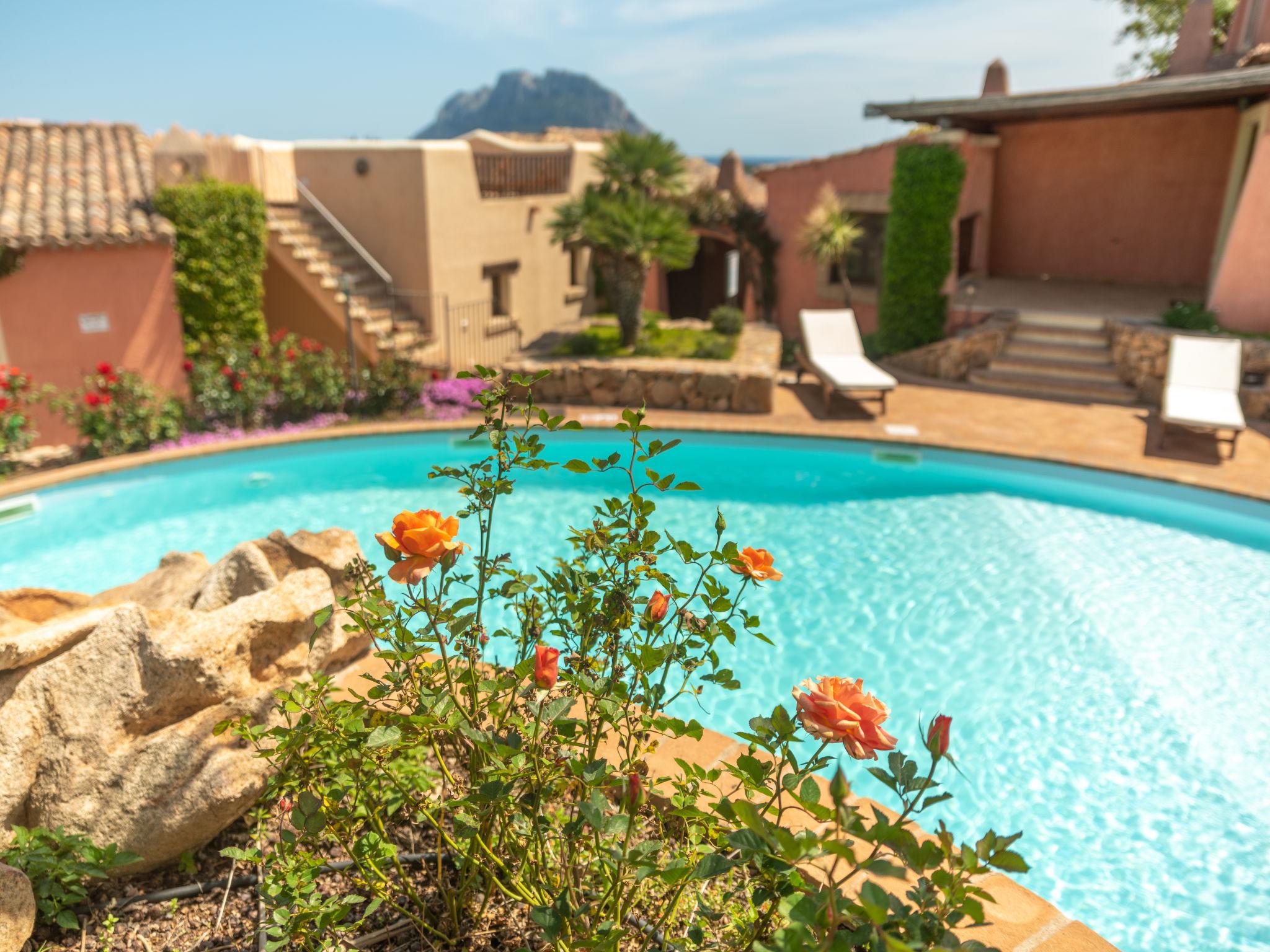 Photo 30 - Maison en Loiri Porto San Paolo avec piscine et jardin