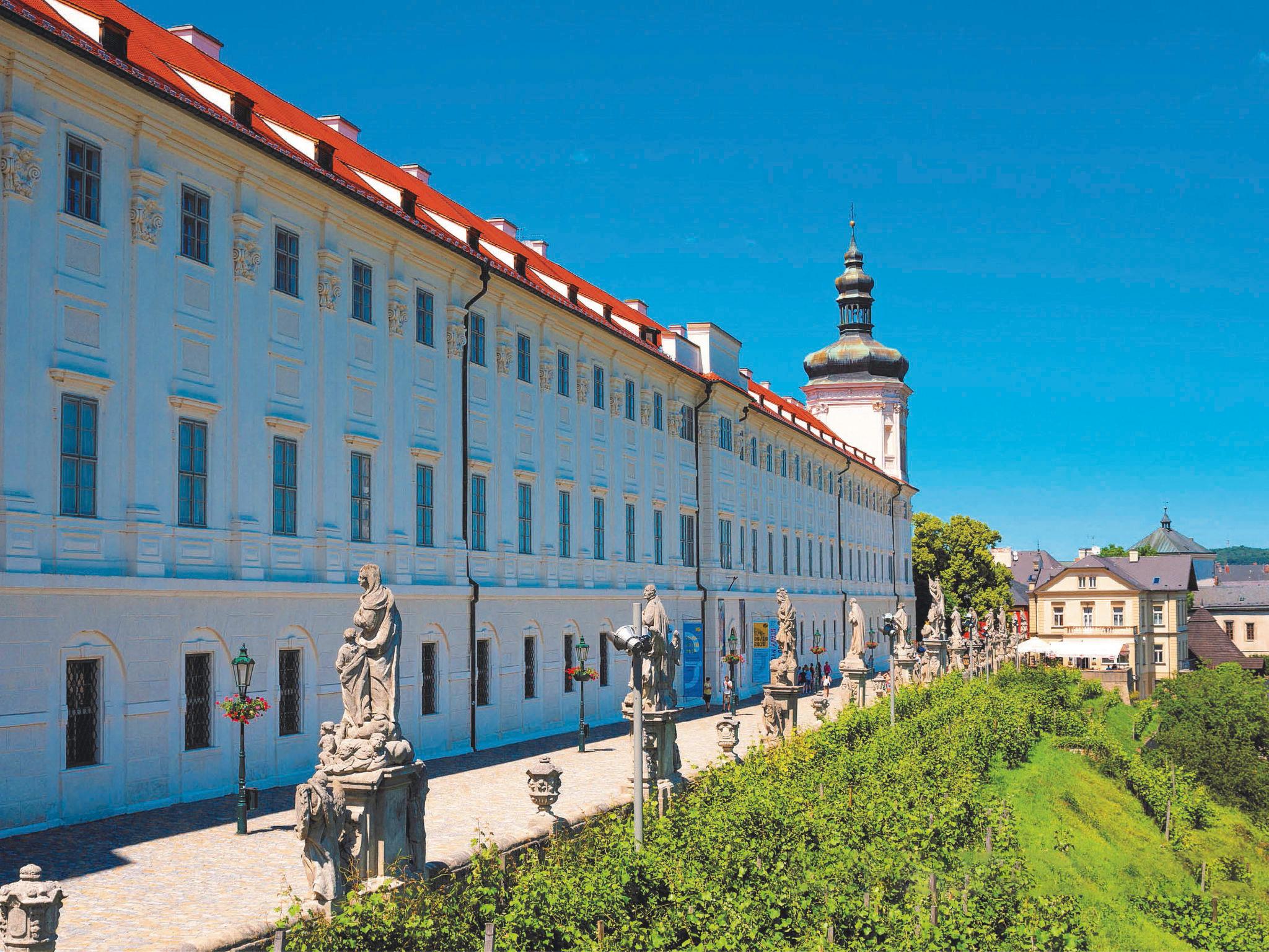 Photo 32 - Maison de 2 chambres à Černíny avec jardin