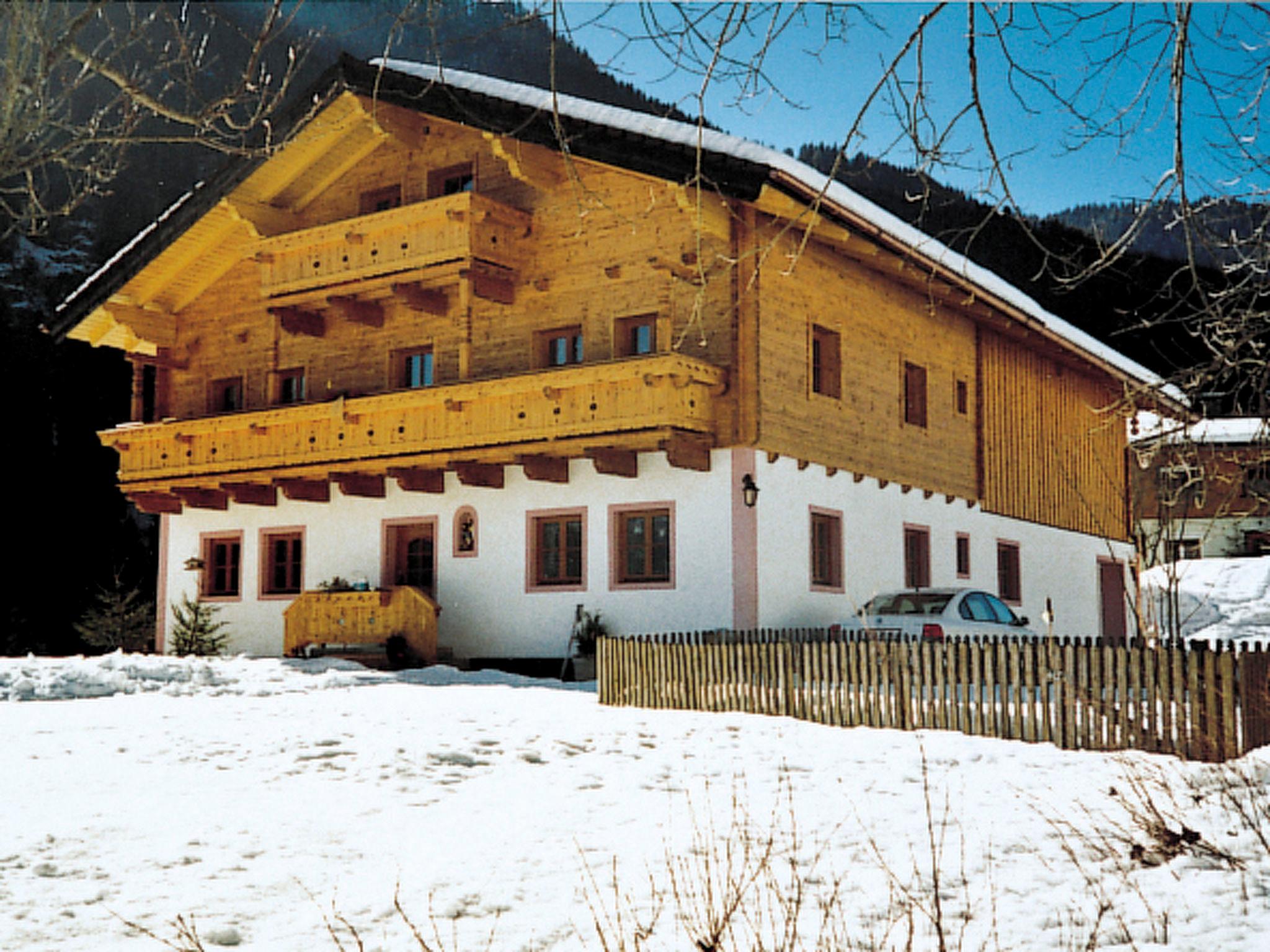Foto 1 - Apartamento de 3 quartos em Viehhofen com sauna e vista para a montanha
