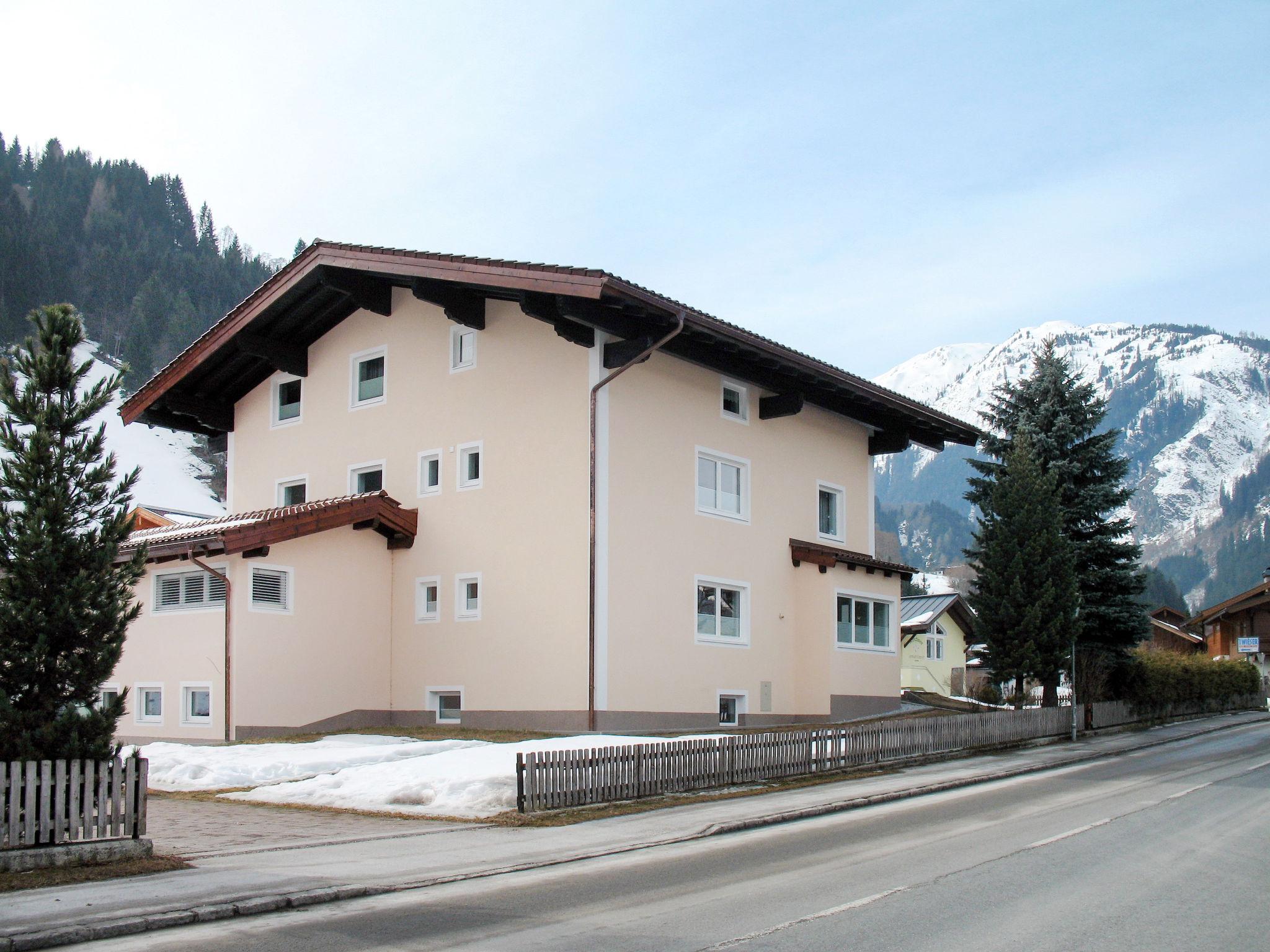 Foto 25 - Apartamento de 1 habitación en Hollersbach im Pinzgau con vistas a la montaña