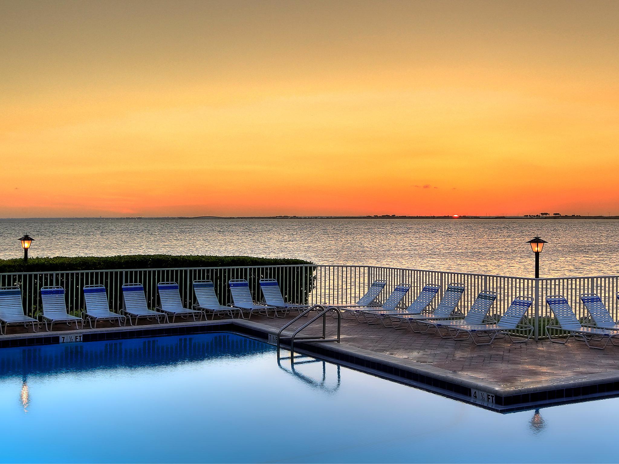 Photo 14 - Appartement de 1 chambre à Tampa avec piscine et vues à la mer